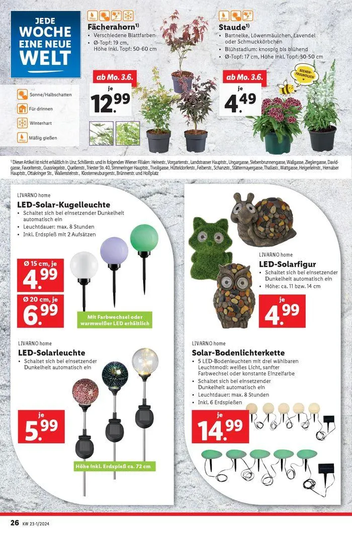 Flugblatt von 29. Mai bis 5. Juni 2024 - Flugblätt seite  26