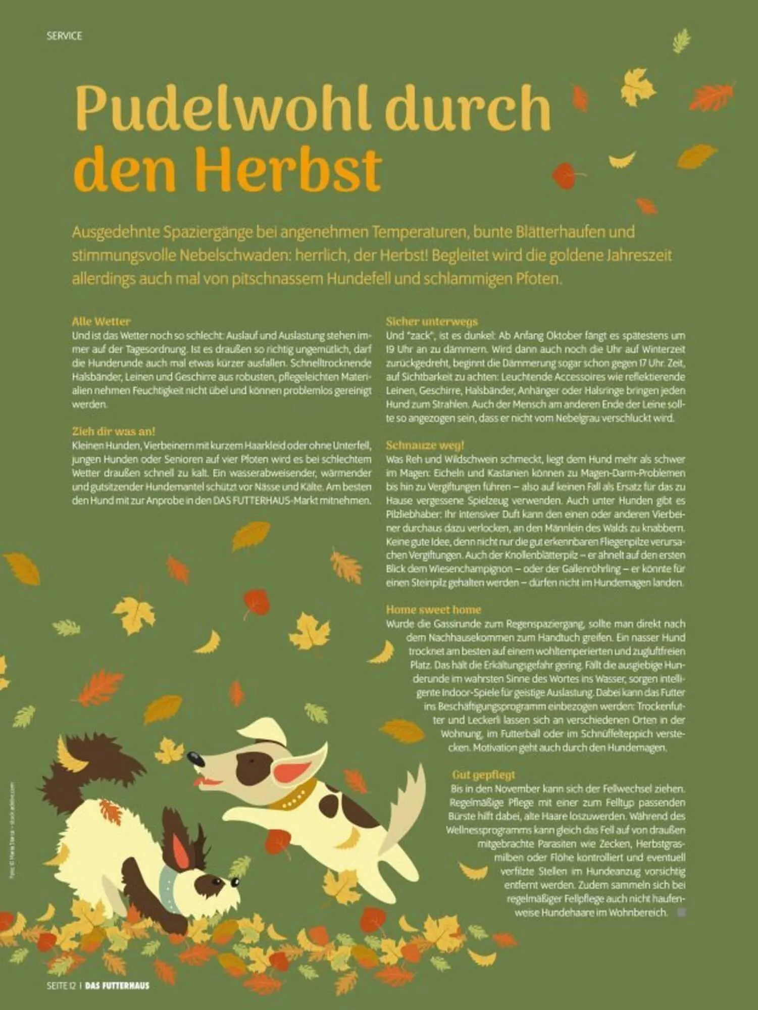 Das Futterhaus Prospekt von 3. Oktober bis 30. November 2025 - Flugblätt seite 12