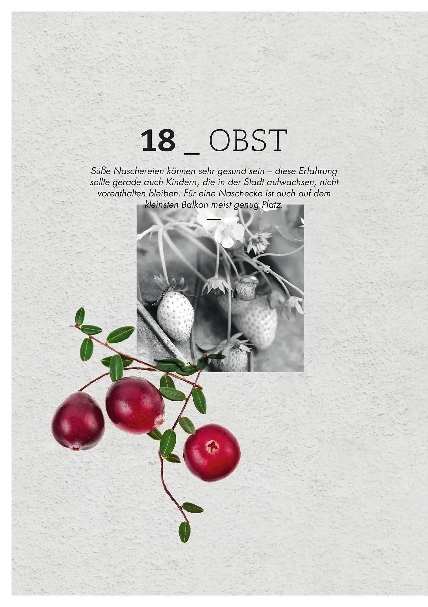 Bellaflora Flugblatt von 3. Jänner bis 31. Mai 2025 - Flugblätt seite 18