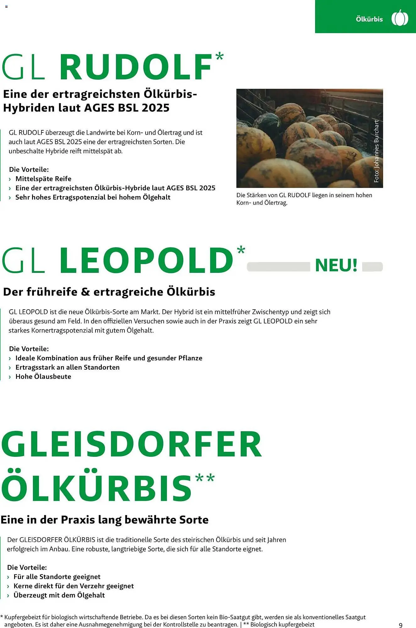 Lagerhaus Flugblatt von 1. März bis 31. Mai 2026 - Flugblätt seite 9