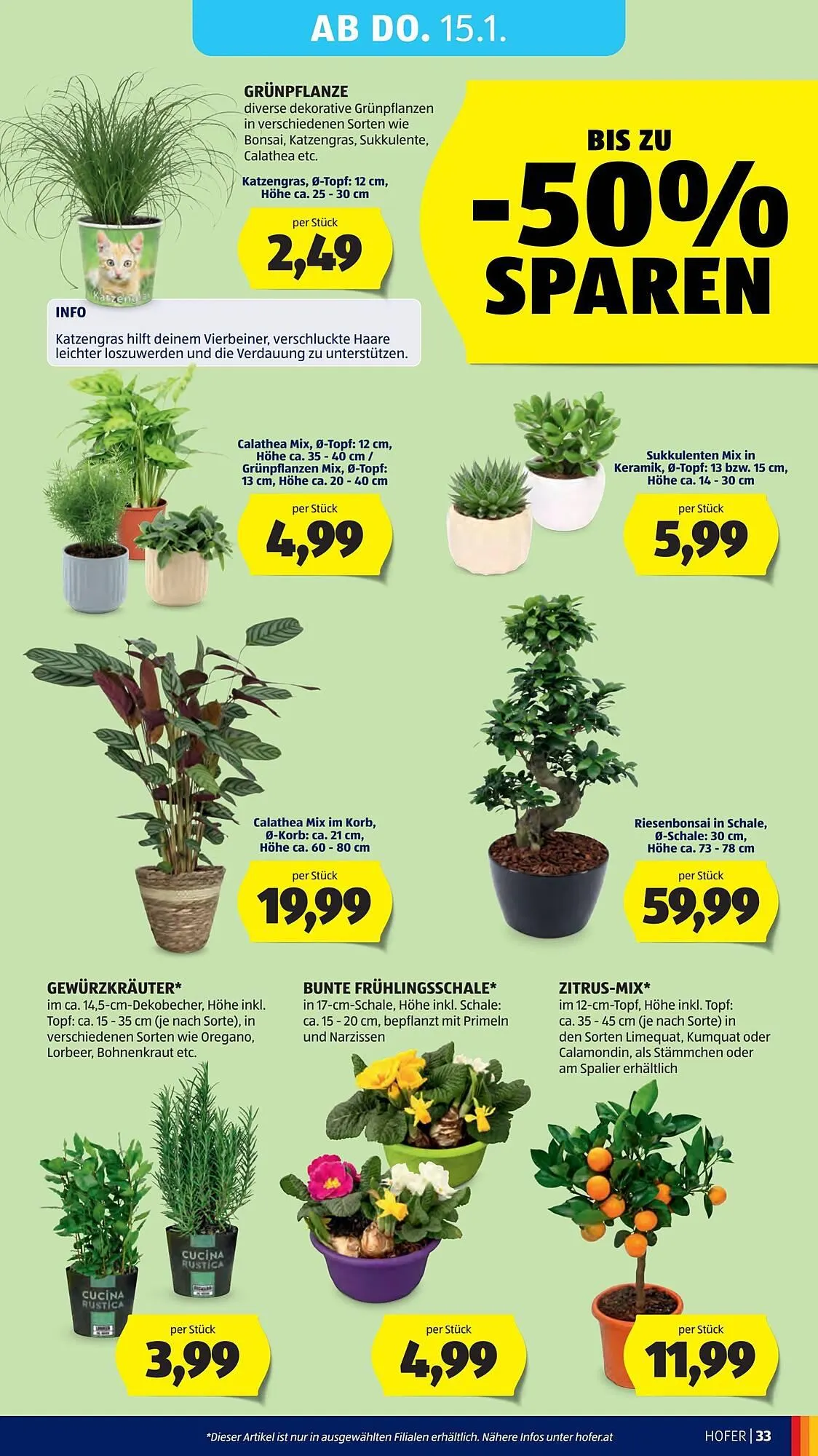 Hofer Flugblatt von 9. Jänner bis 15. Jänner 2026 - Flugblätt seite  37