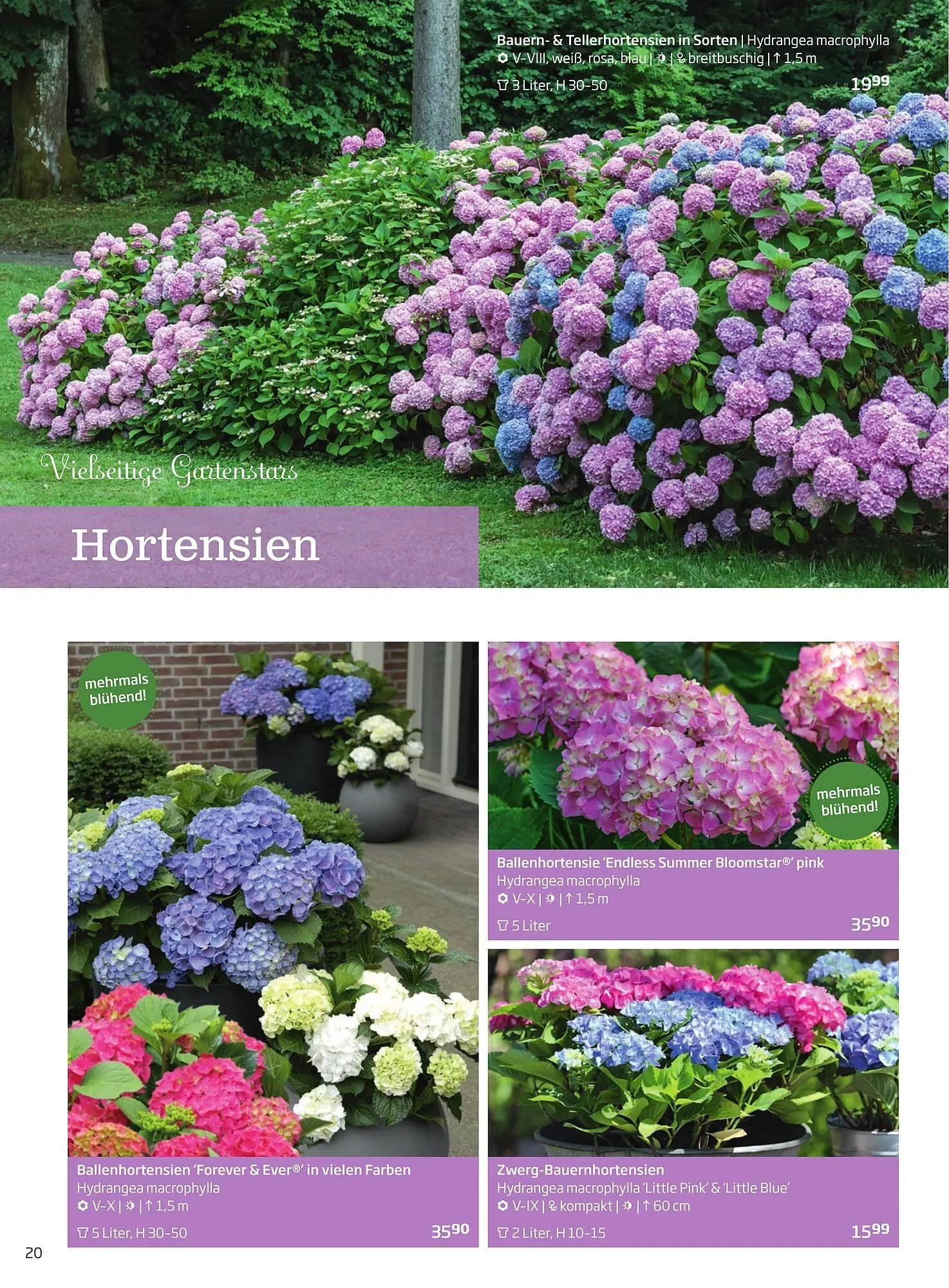 Starkl Flugblatt von 1. Jänner bis 31. Dezember 2023 - Flugblätt seite  20