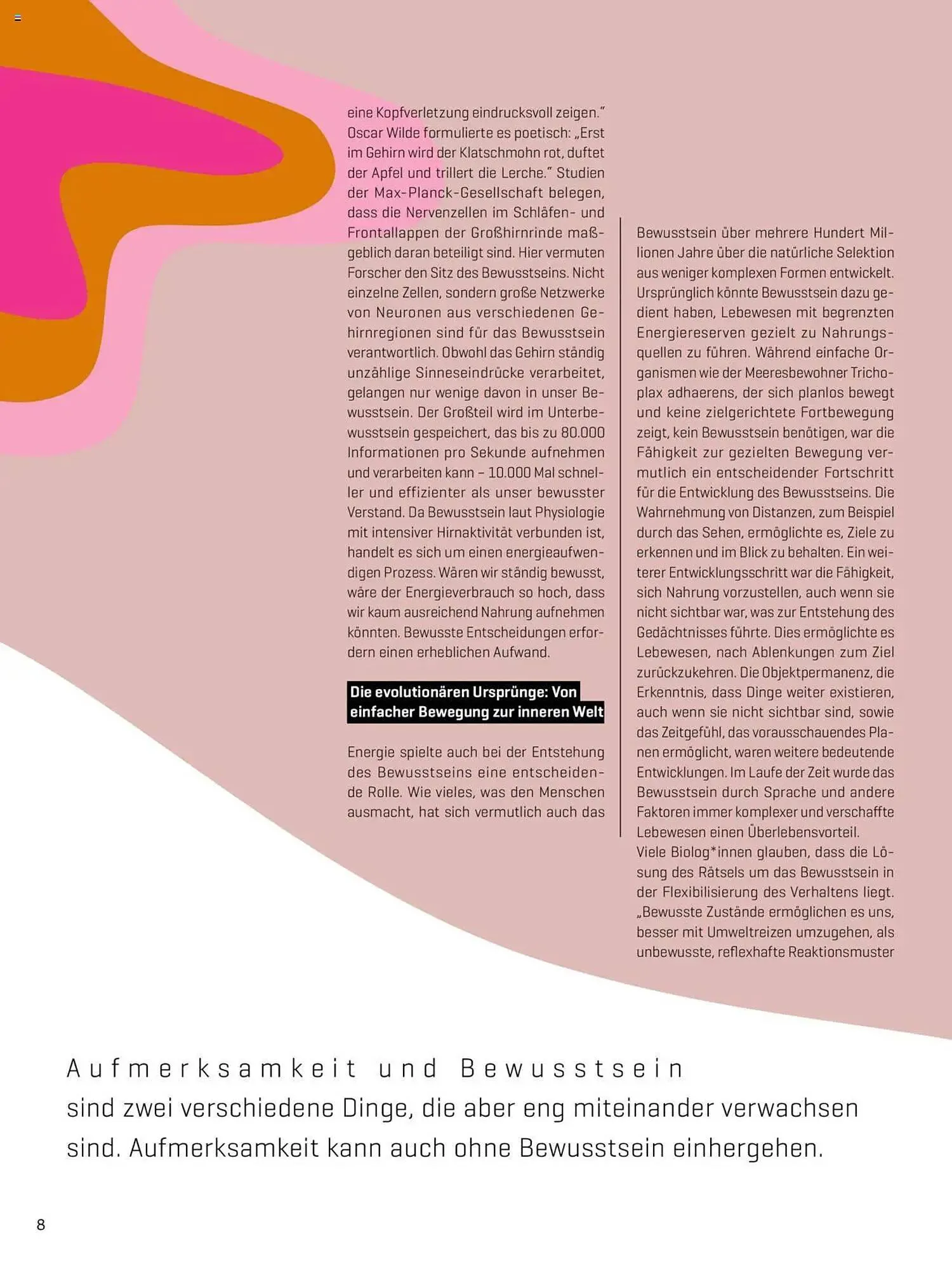 Denn's Biomarkt Flugblatt von 11. Februar bis 6. August 2025 - Flugblätt seite  8
