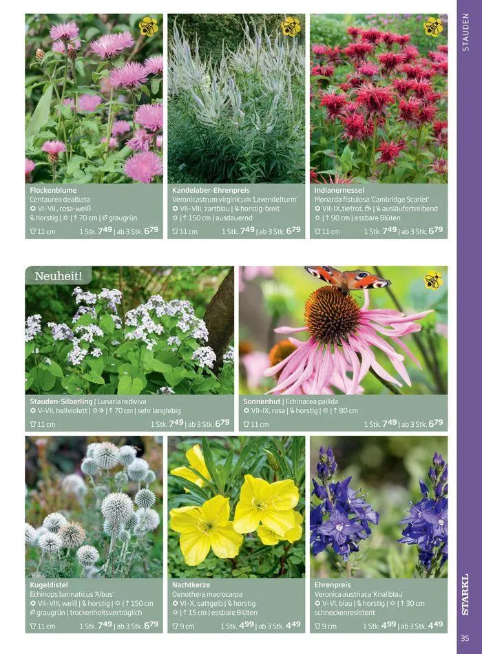 Gartencenter Jahreskatalog 2024 von 20. Mai bis 31. Dezember 2024 - Flugblätt seite 35