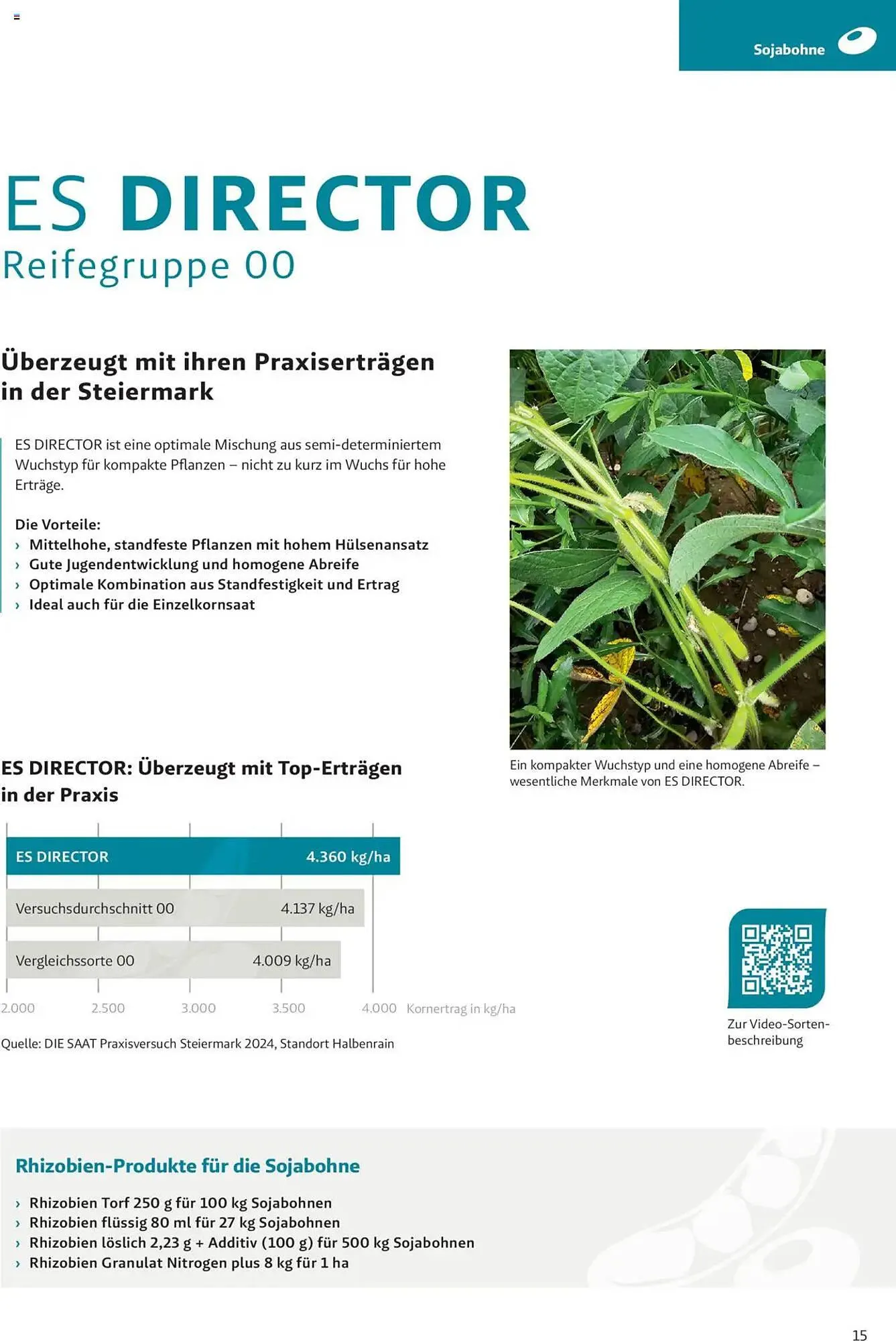 Lagerhaus Flugblatt von 4. Dezember bis 2. Juni 2025 - Flugblätt seite 15