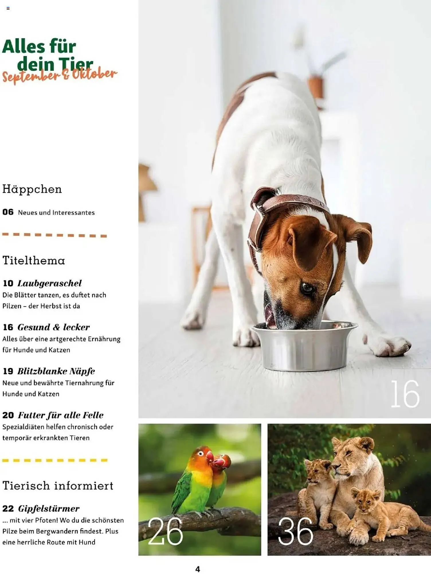 Fressnapf Flugblatt von 1. September bis 31. Oktober 2025 - Flugblätt seite  4