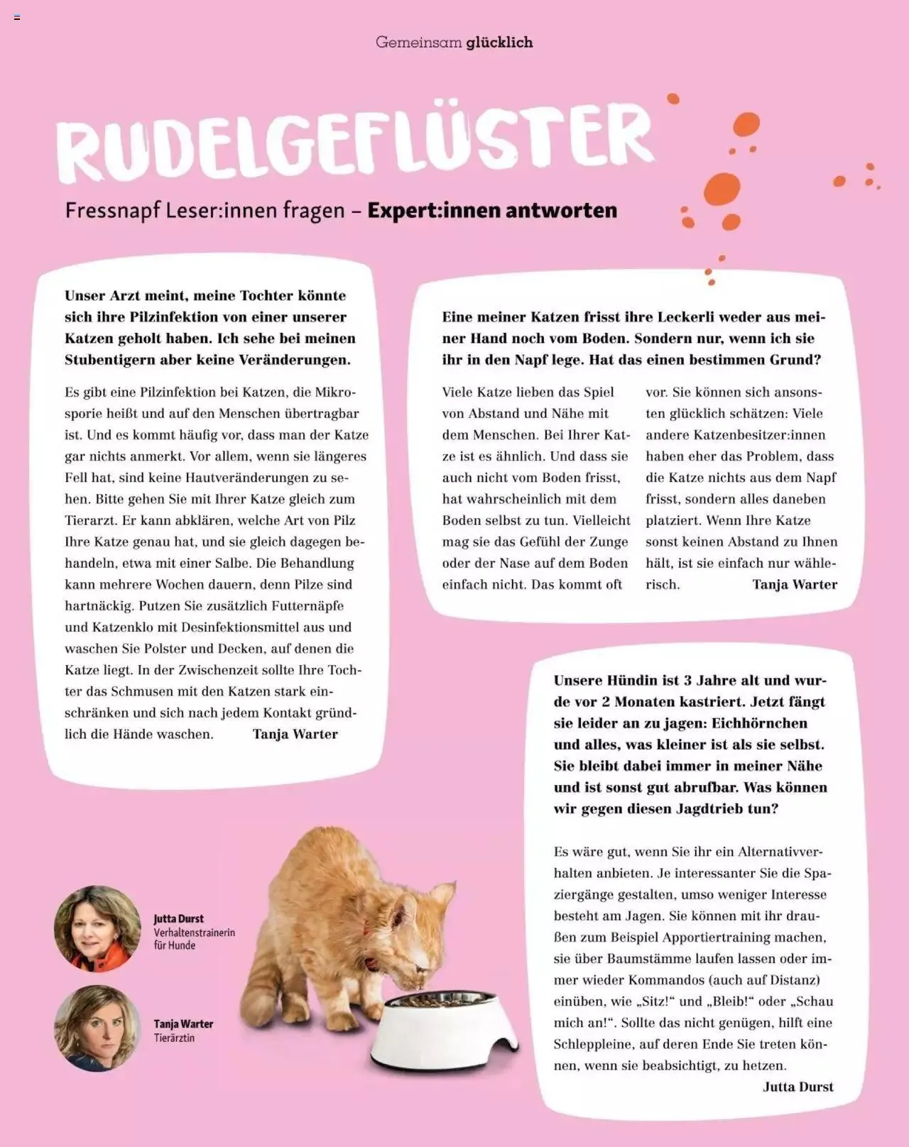 Fressnapf Friends 03/24 von 1. April bis 31. Dezember 2024 - Flugblätt seite 41