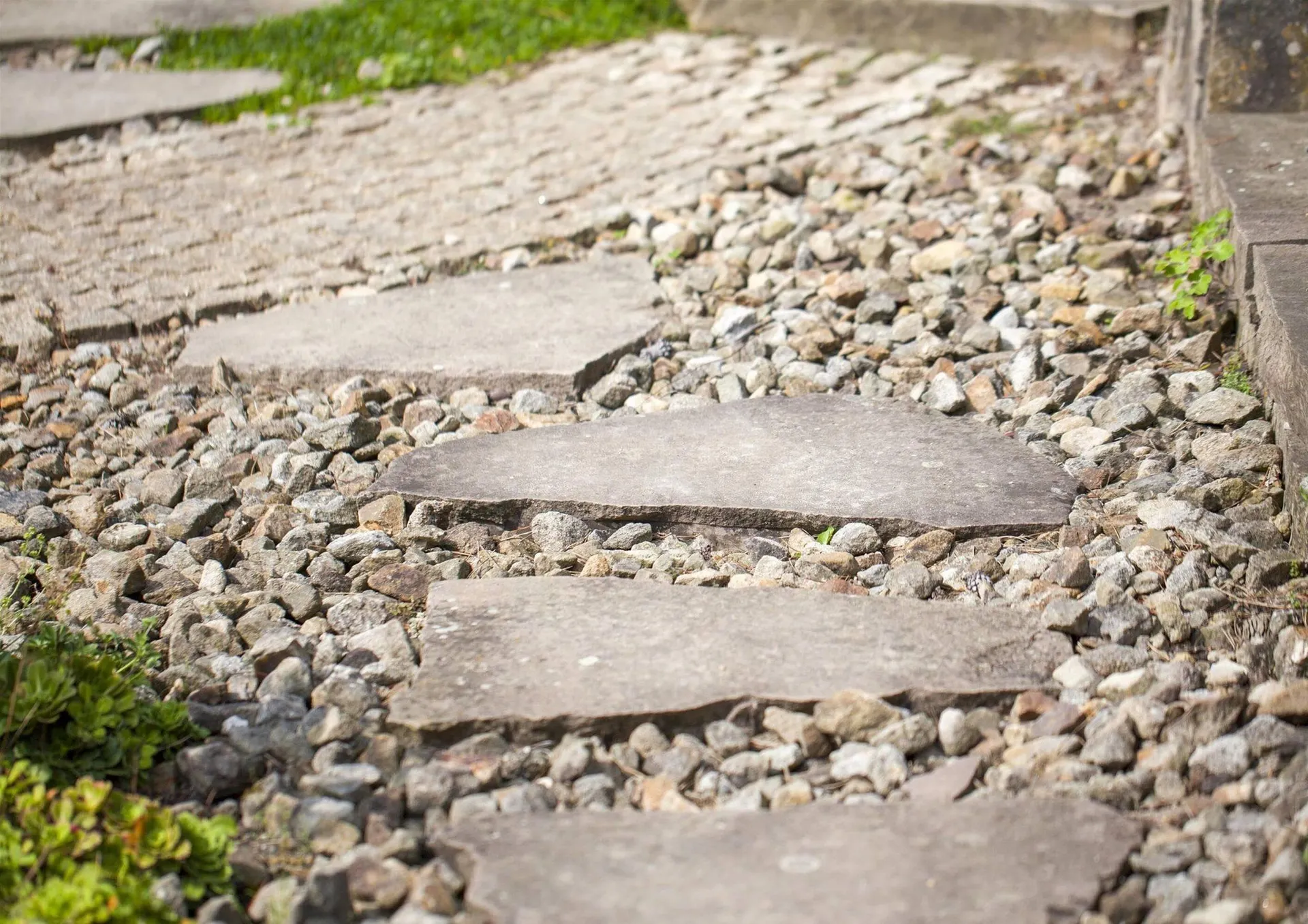 Bellaflora Flugblatt von 15. August bis 28. August 2024 - Flugblätt seite  4