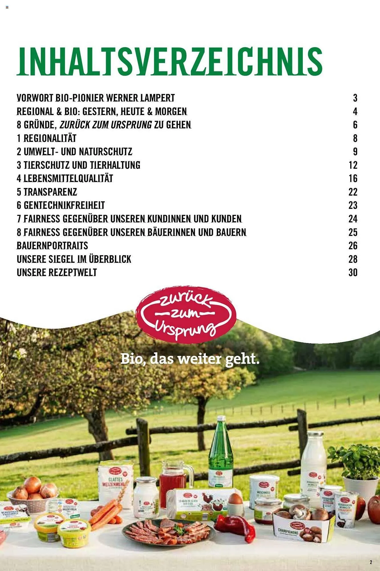 Hofer Flugblatt von 8. Oktober bis 4. März 2026 - Flugblätt seite  2