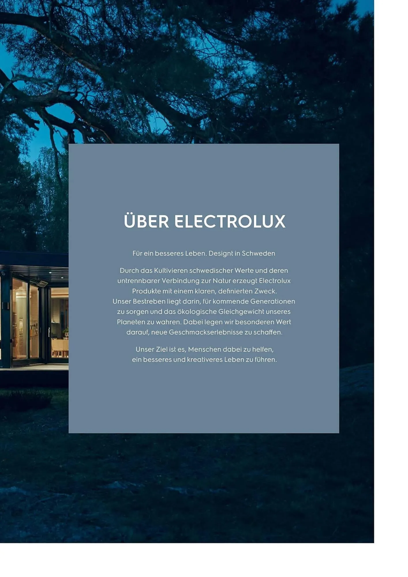 Peter MAX Flugblatt von 22. Oktober bis 31. Dezember 2025 - Flugblätt seite  3