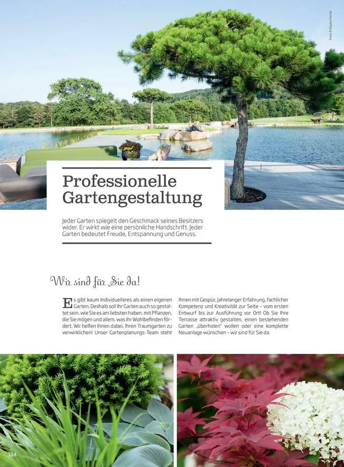 Gartencenter Jahreskatalog 2024 von 20. Mai bis 31. Dezember 2024 - Flugblätt seite 114