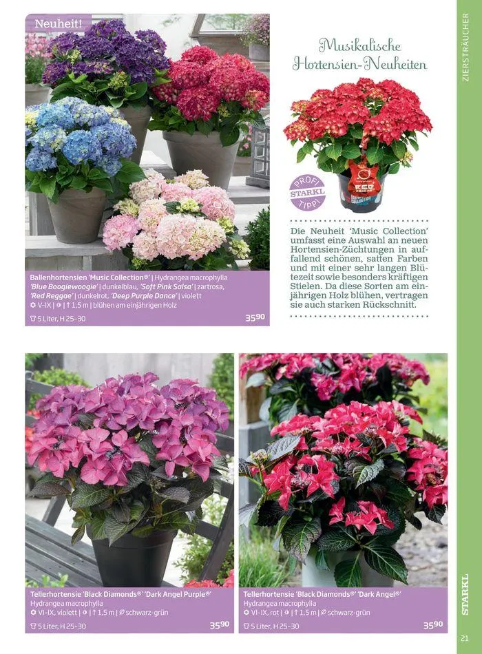 Gartencenter Jahreskatalog 2024 von 20. Mai bis 31. Dezember 2024 - Flugblätt seite 21