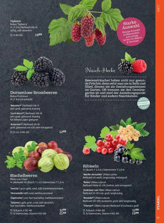 Gartencenter Jahreskatalog 2024 von 20. Mai bis 31. Dezember 2024 - Flugblätt seite  91