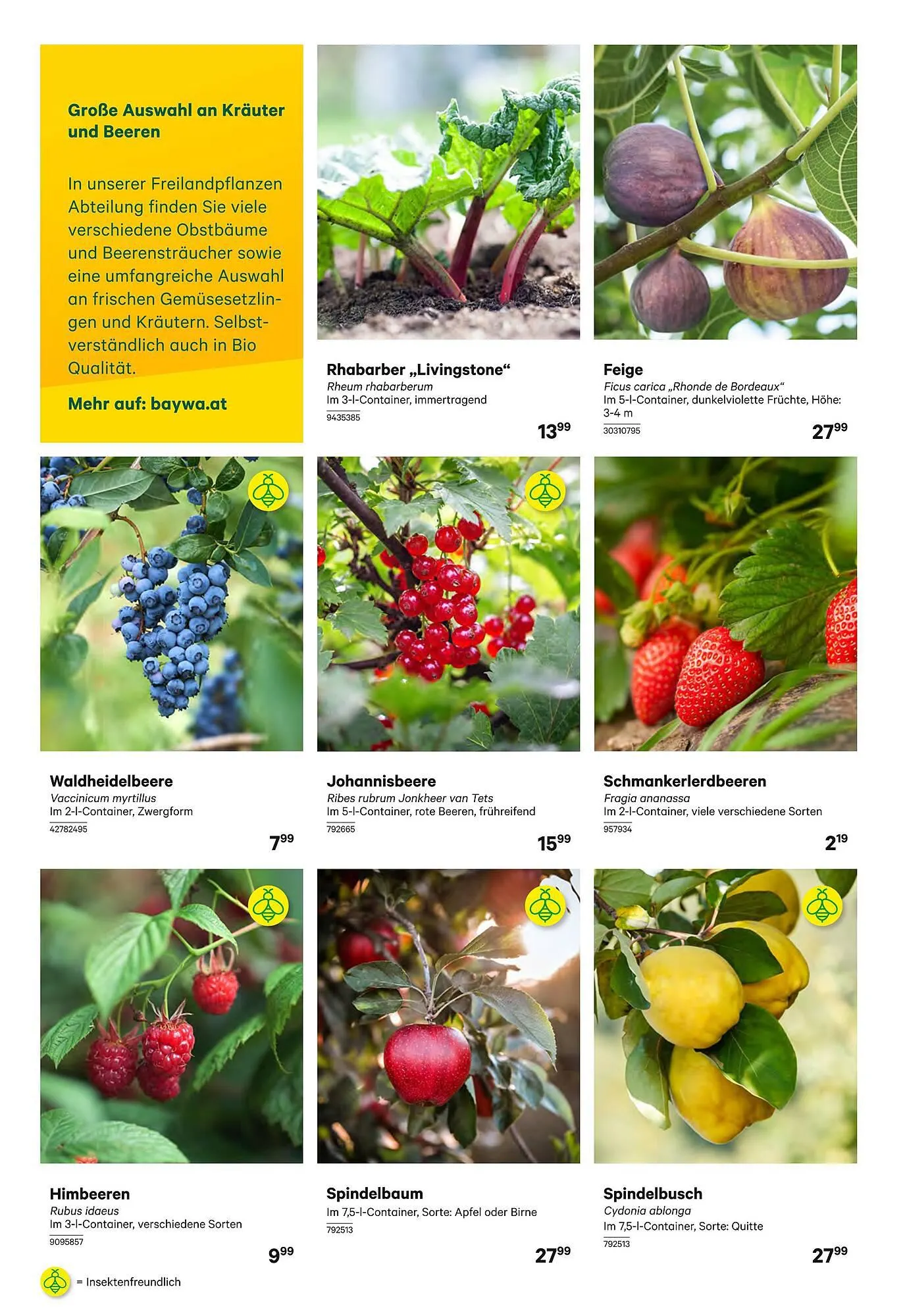 BayWa Flugblatt von 3. April bis 13. April 2024 - Flugblätt seite 4