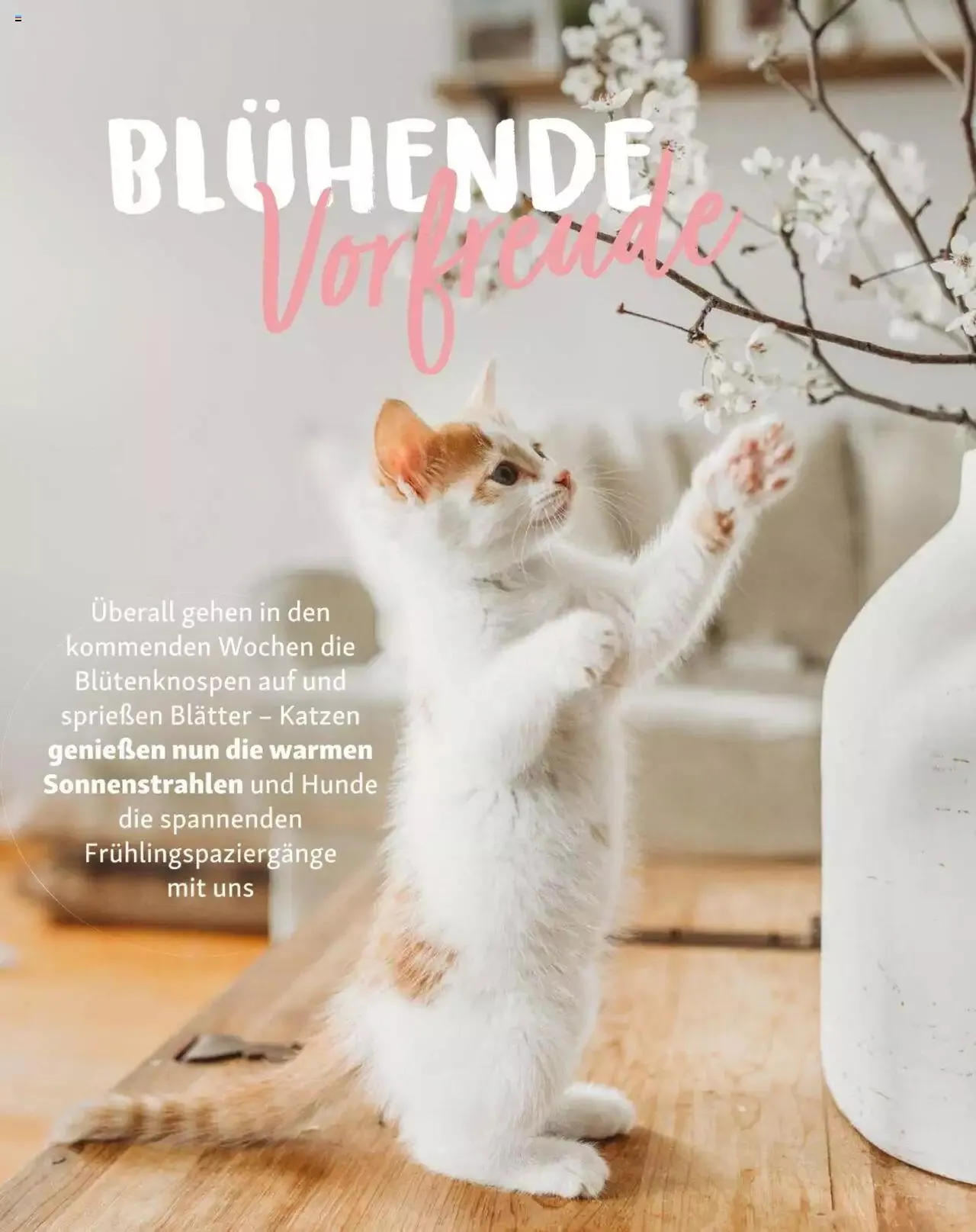 Fressnapf Friends 02/2023 von 1. März bis 31. Dezember 2023 - Flugblätt seite 10