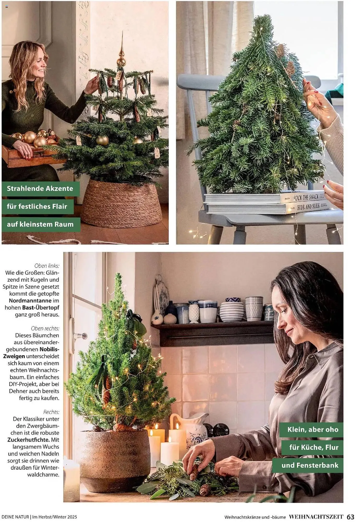 Dehner Flugblatt von 10. Oktober bis 31. Dezember 2025 - Flugblätt seite 63