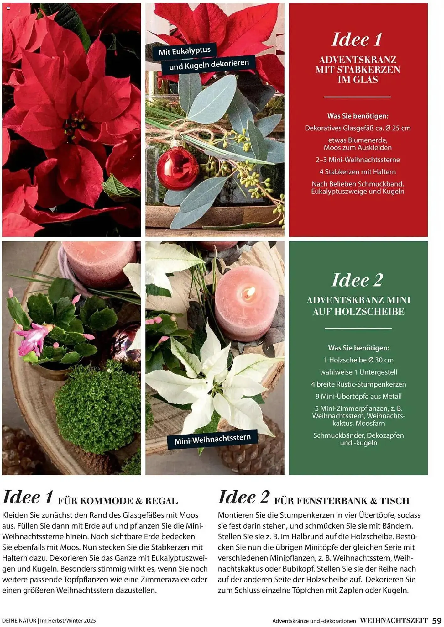 Dehner Flugblatt von 10. Oktober bis 31. Dezember 2025 - Flugblätt seite 59