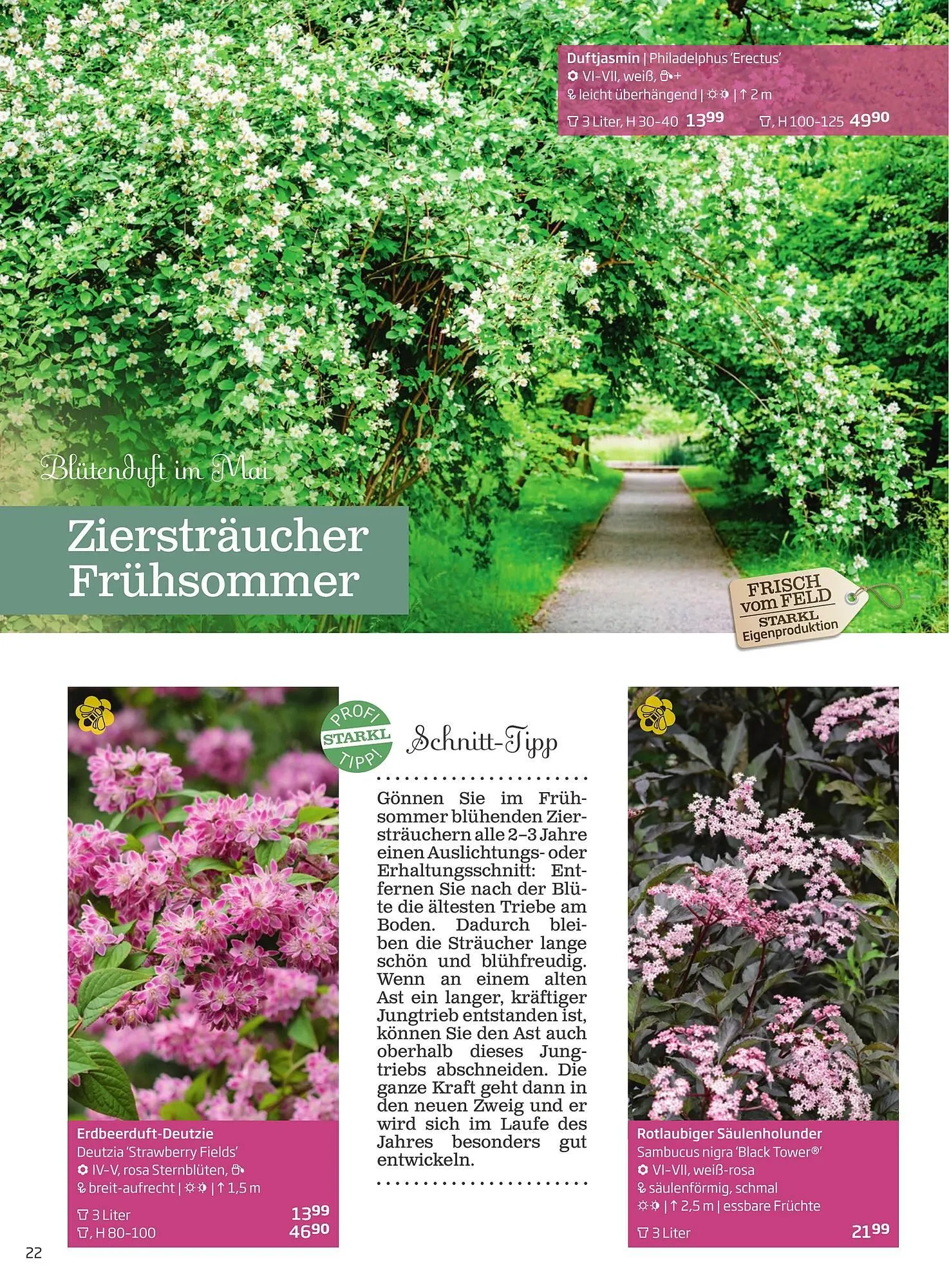 Starkl Flugblatt von 6. Juni bis 31. Dezember 2025 - Flugblätt seite 22