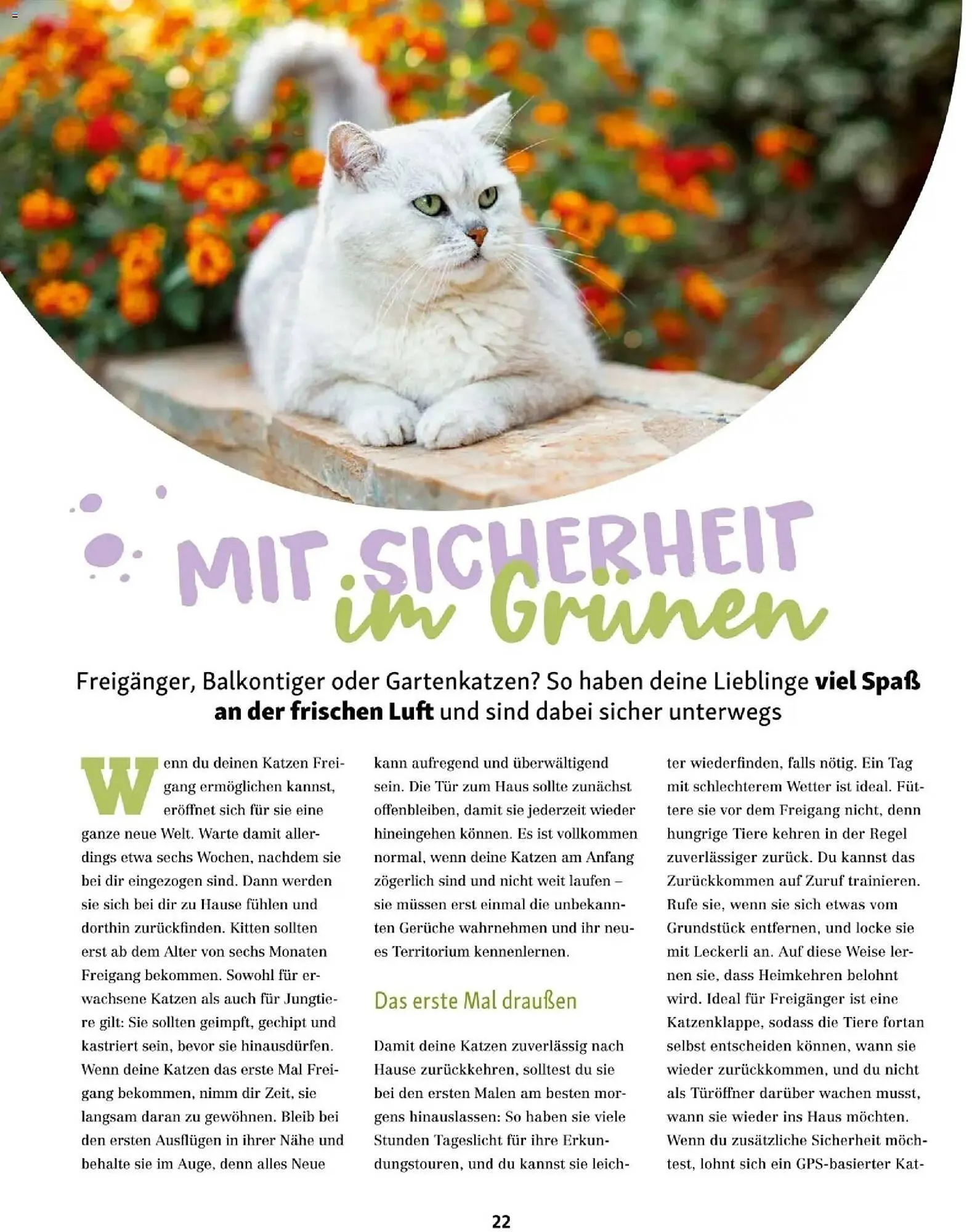 Fressnapf Flugblatt von 1. März bis 30. April 2026 - Flugblätt seite  22