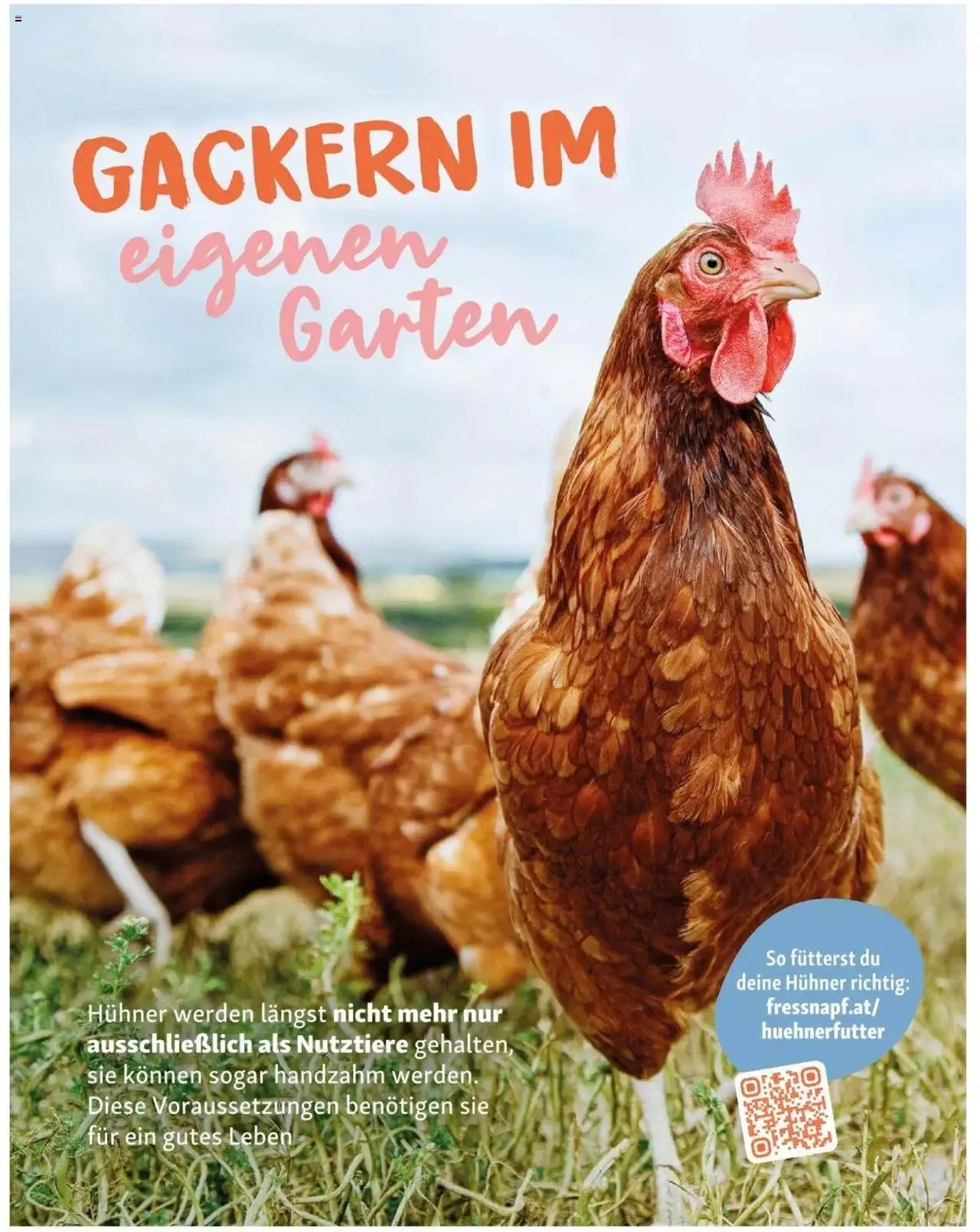 Fressnapf Friends 02/2023 von 1. März bis 31. Dezember 2023 - Flugblätt seite 26