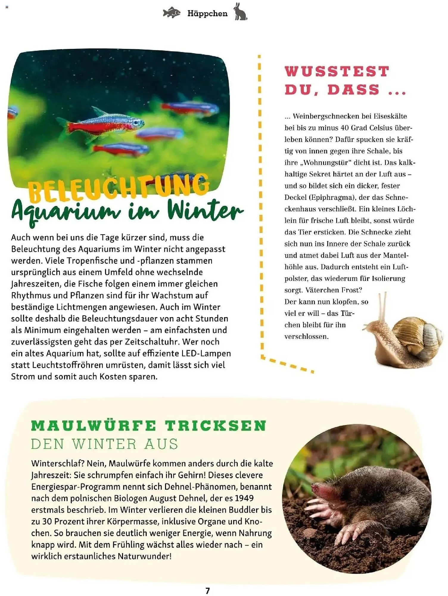 Fressnapf Flugblatt von 1. November bis 31. Dezember 2025 - Flugblätt seite  7