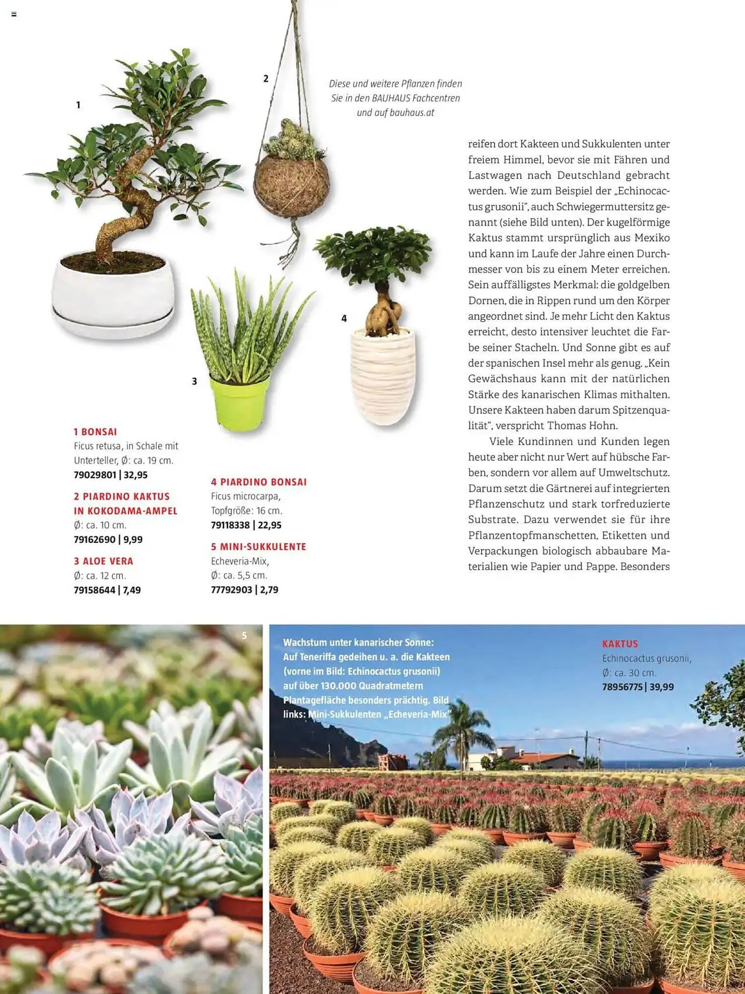 Bauhaus Flugblatt von 1. Oktober bis 31. März 2026 - Flugblätt seite 32