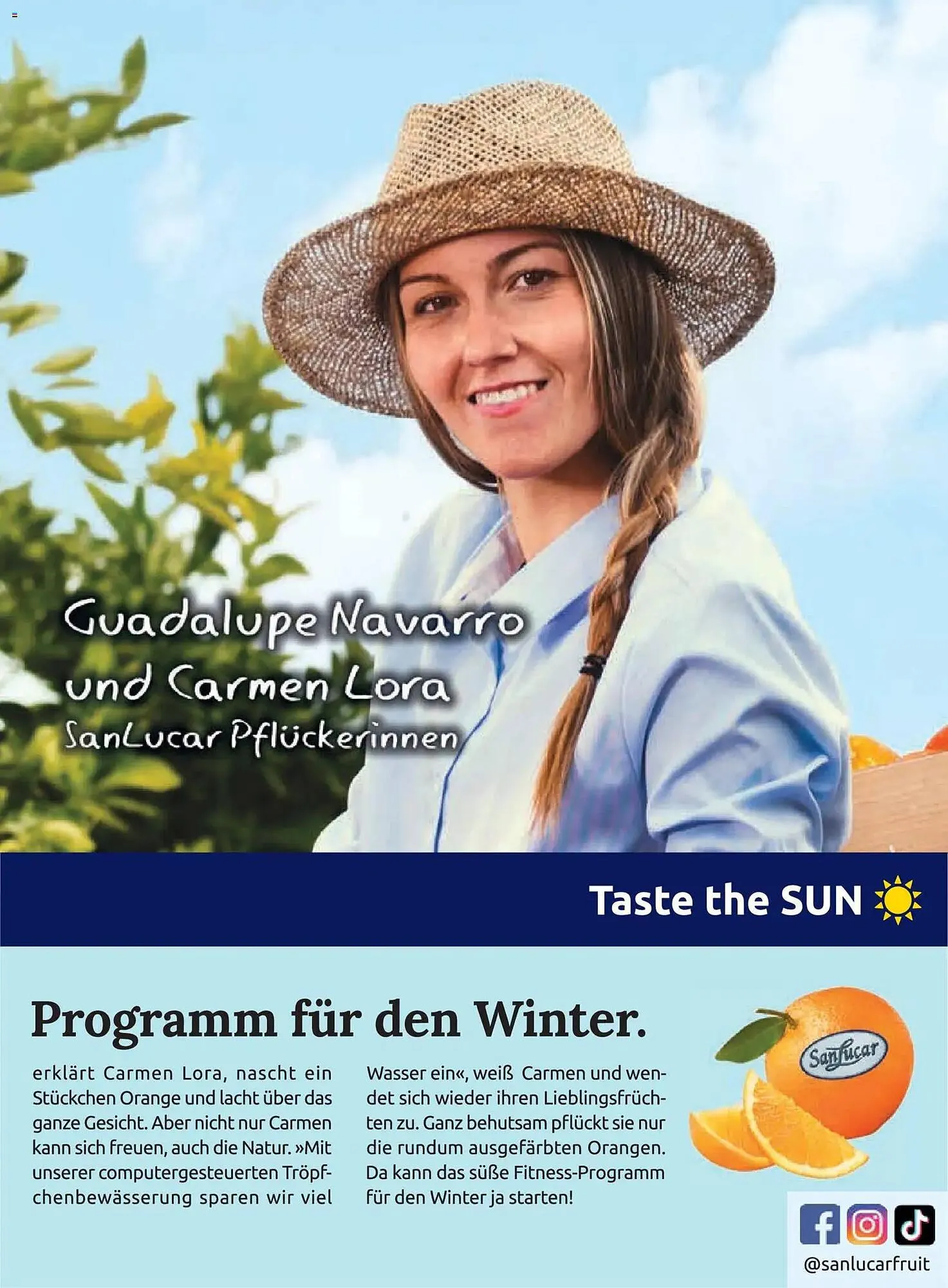 Billa Flugblatt von 1. Jänner bis 28. Februar 2026 - Flugblätt seite 163