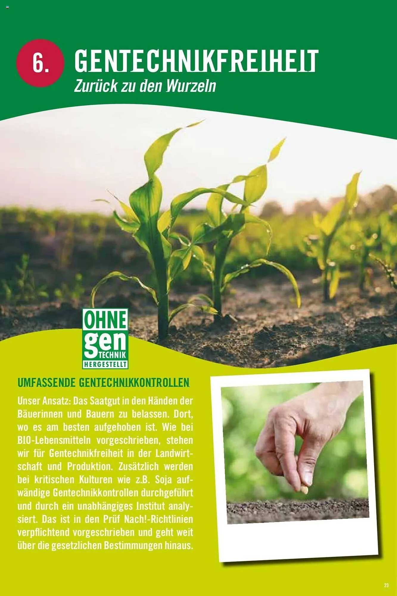 Hofer Flugblatt von 8. Oktober bis 4. März 2026 - Flugblätt seite  23