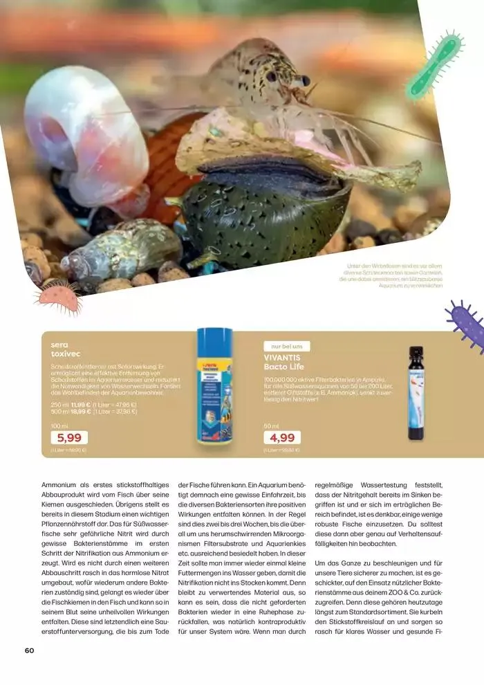 Angebote ZOO & Co von 29. November bis 13. Dezember 2024 - Flugblätt seite 60