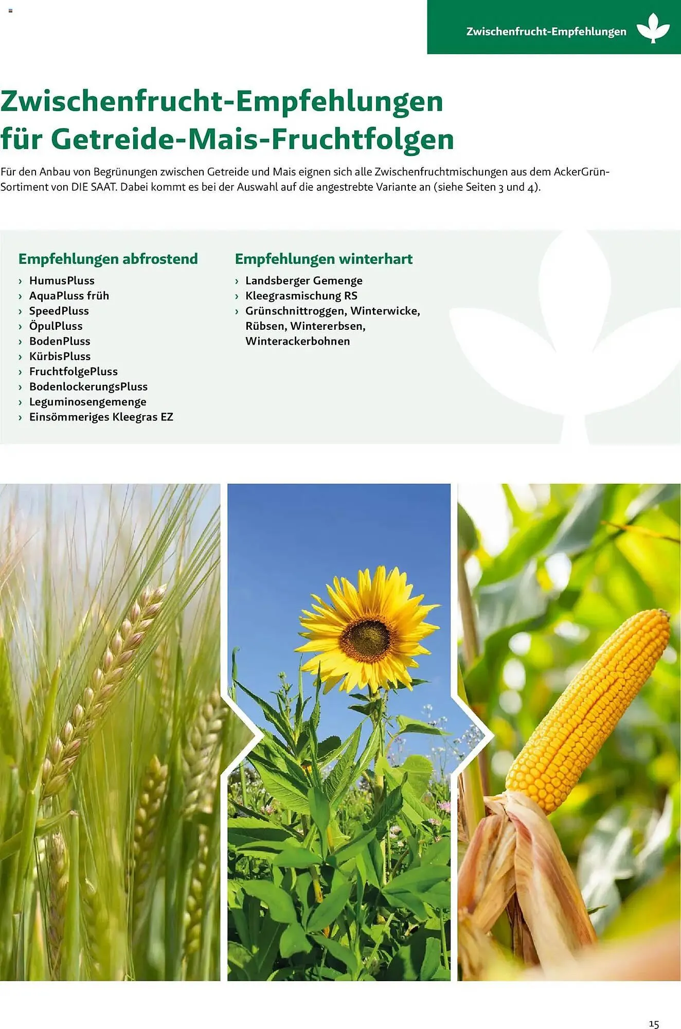 Lagerhaus Flugblatt von 26. März bis 26. September 2026 - Flugblätt seite  16