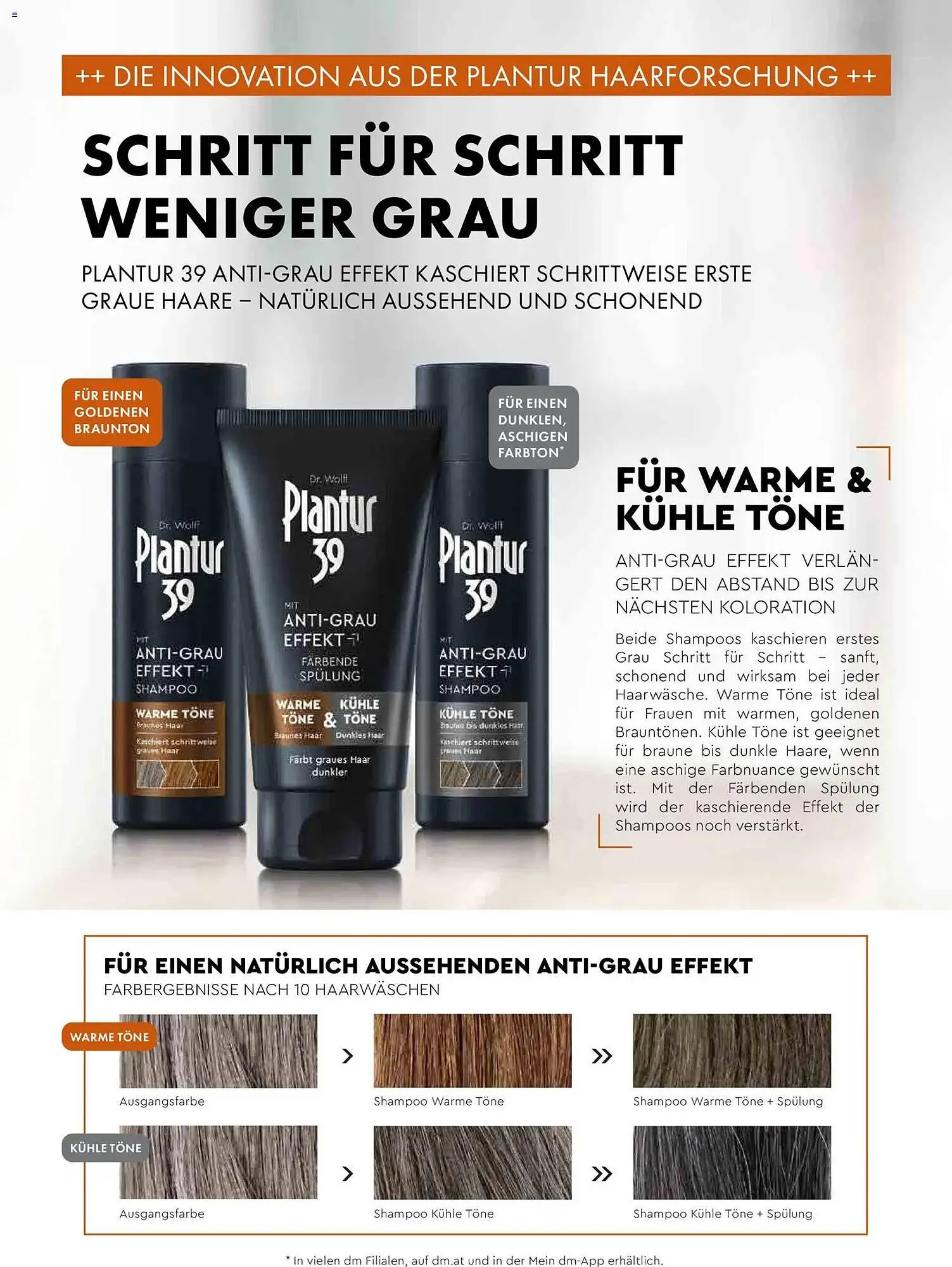 Dm Flugblatt von 1. November bis 30. November 2025 - Flugblätt seite  97