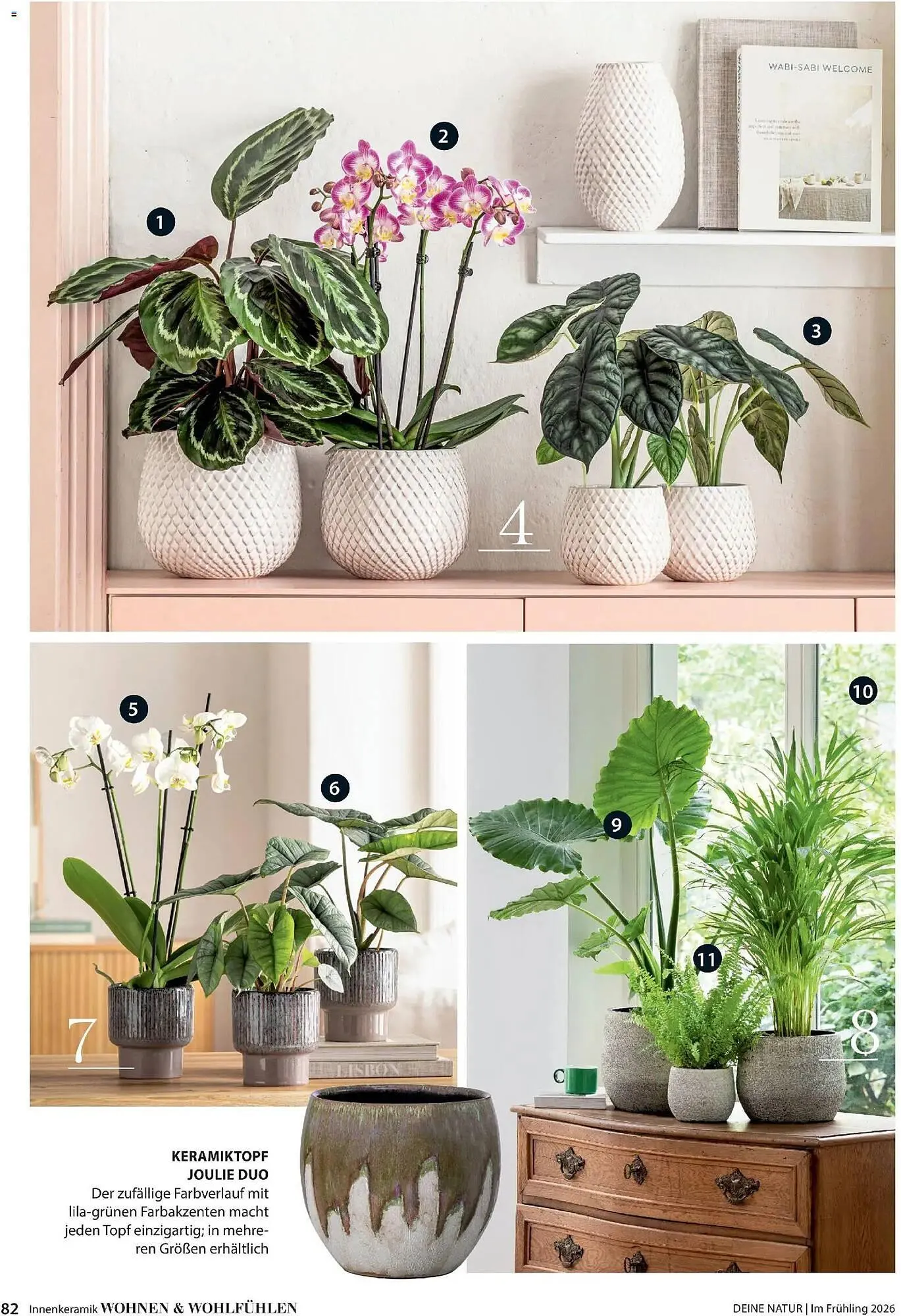 Dehner Flugblatt von 5. März bis 31. Mai 2026 - Flugblätt seite  82