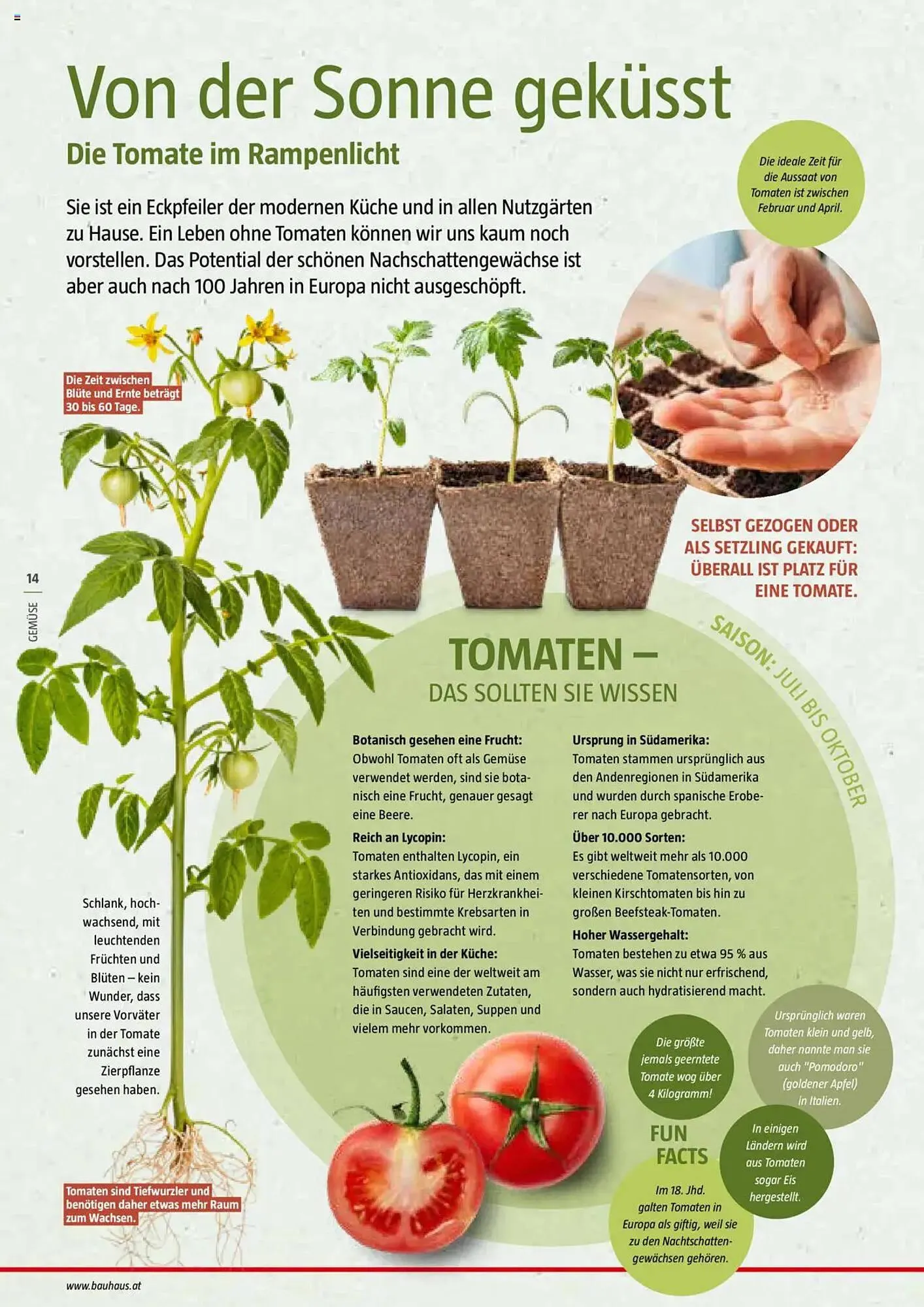Bauhaus Flugblatt von 1. Juli bis 6. März 2026 - Flugblätt seite  14