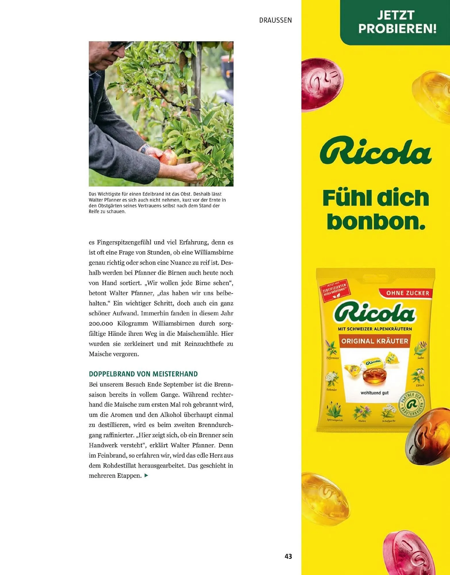 Sutterlüty Flugblatt von 17. November bis 29. Jänner 2026 - Flugblätt seite  43