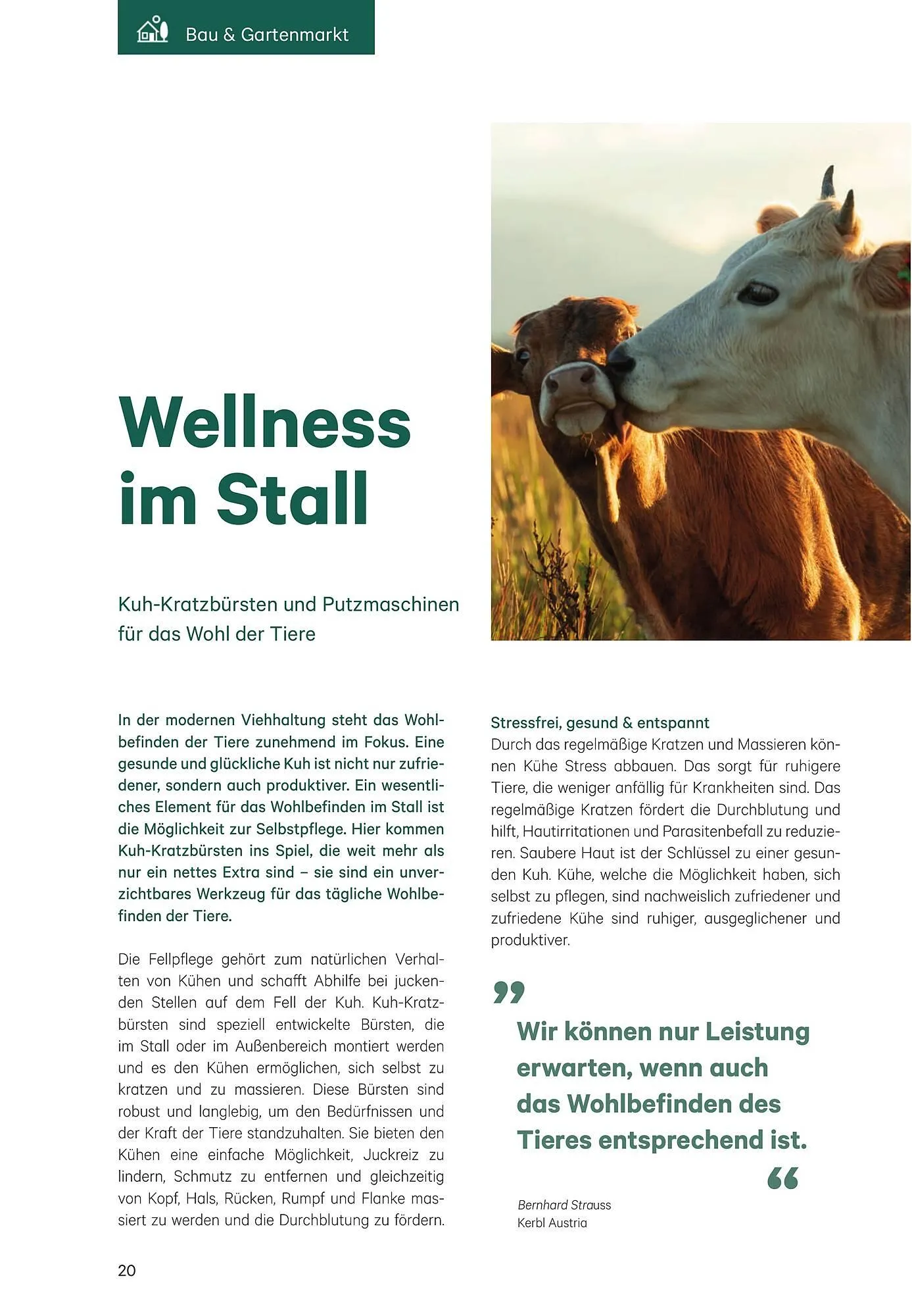 BayWa Flugblatt von 3. Jänner bis 5. Februar 2025 - Flugblätt seite  20