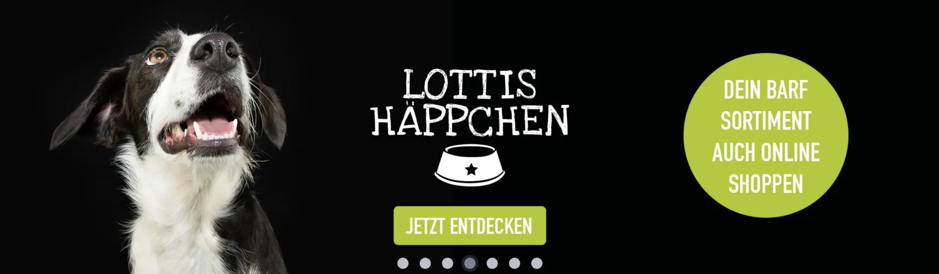 MegaZoo Flugblatt von 11. November bis 17. November 2025 - Flugblätt seite  4