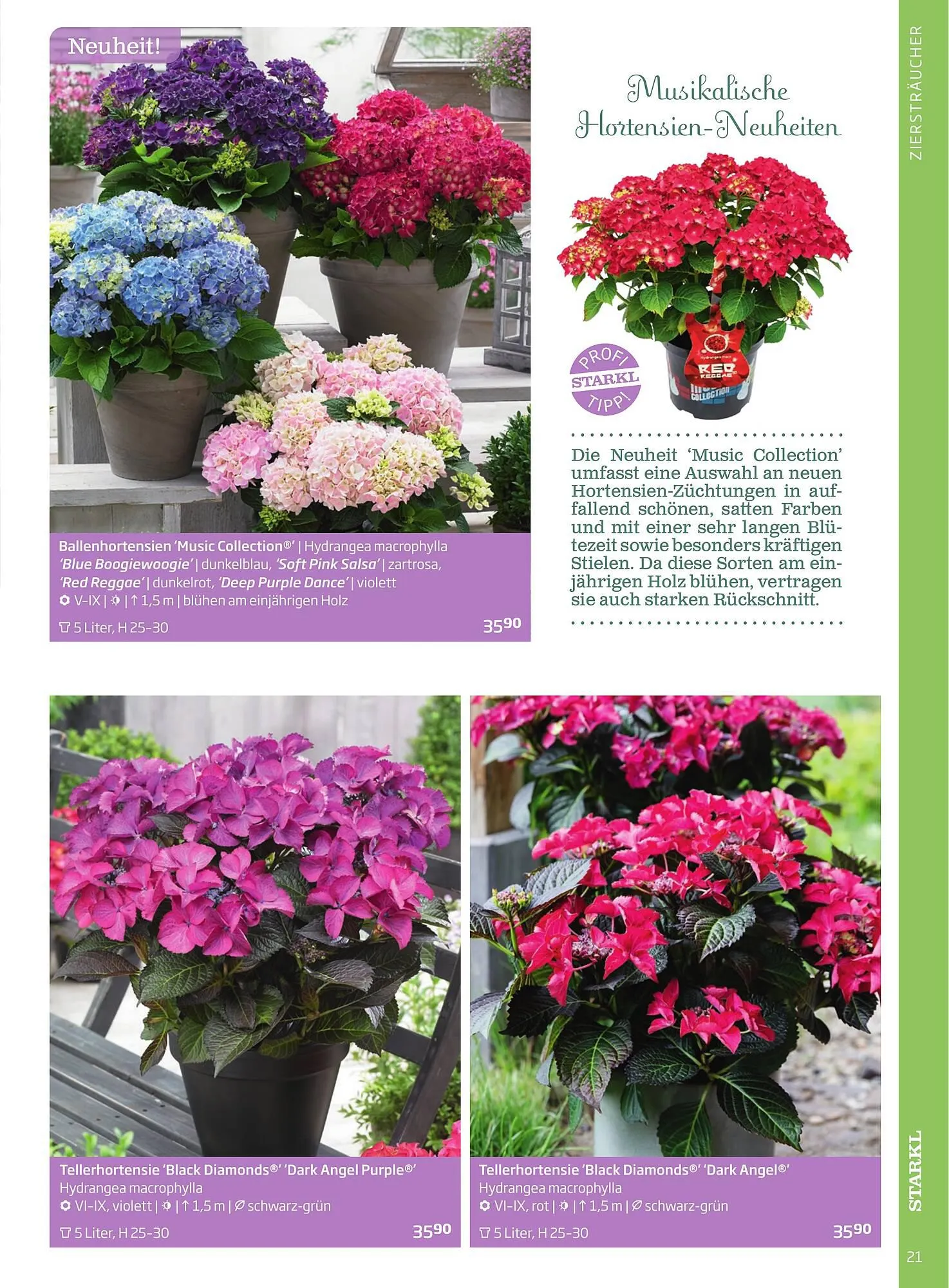 Starkl Flugblatt von 1. April bis 31. Dezember 2024 - Flugblätt seite  21