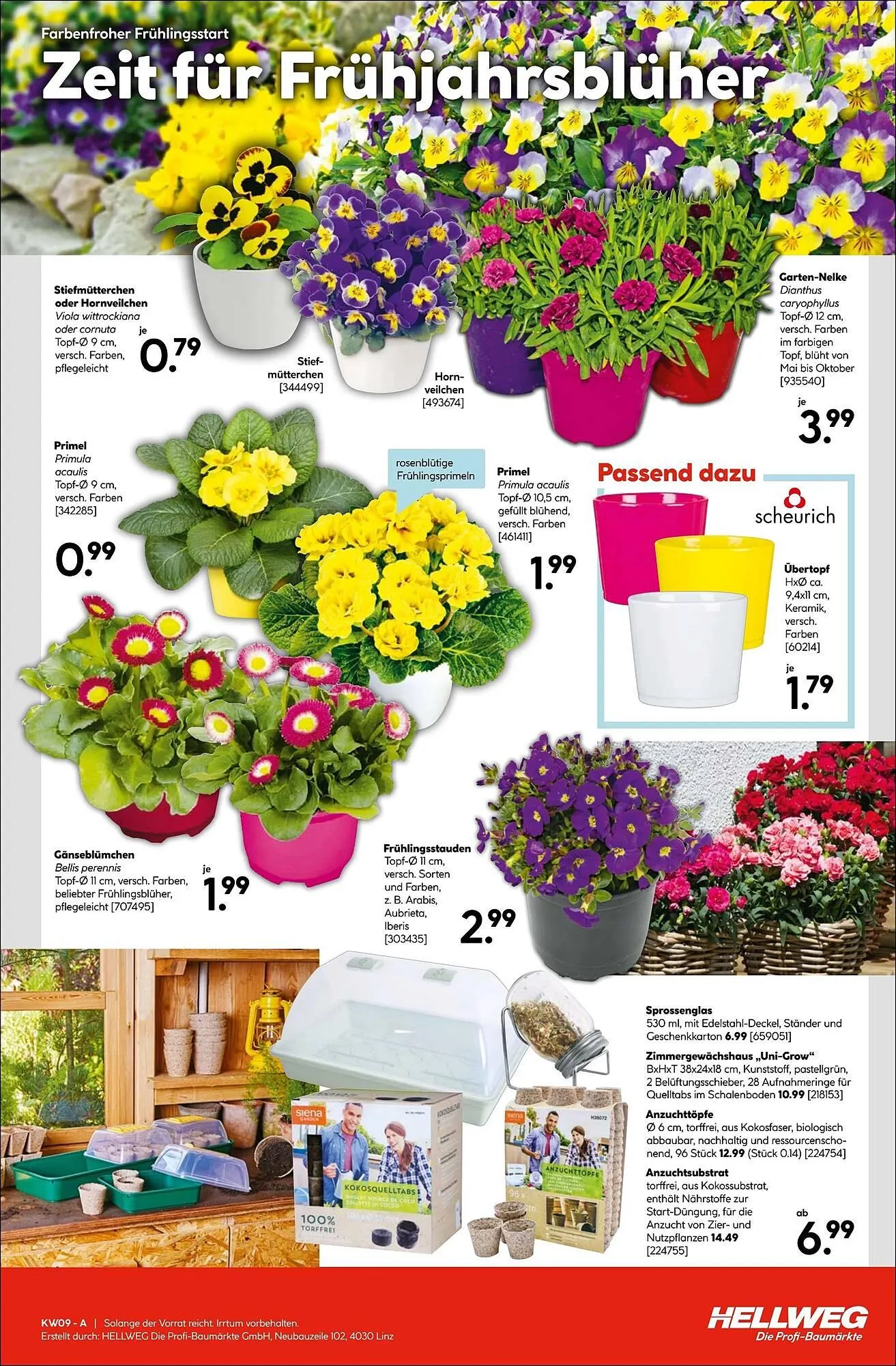 Hellweg Prospekt von 26. Februar bis 4. März 2026 - Flugblätt seite 15