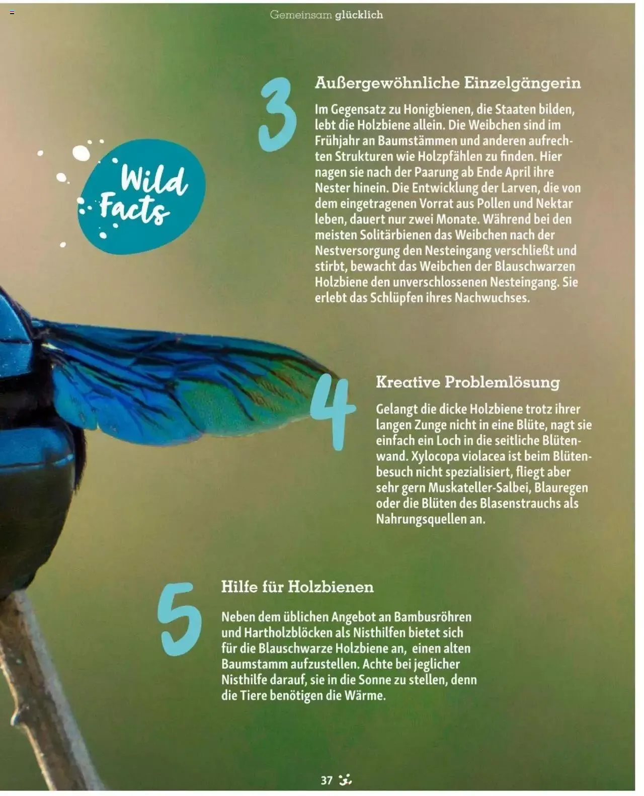 Fressnapf Friends 03/24 von 1. April bis 31. Dezember 2024 - Flugblätt seite  37