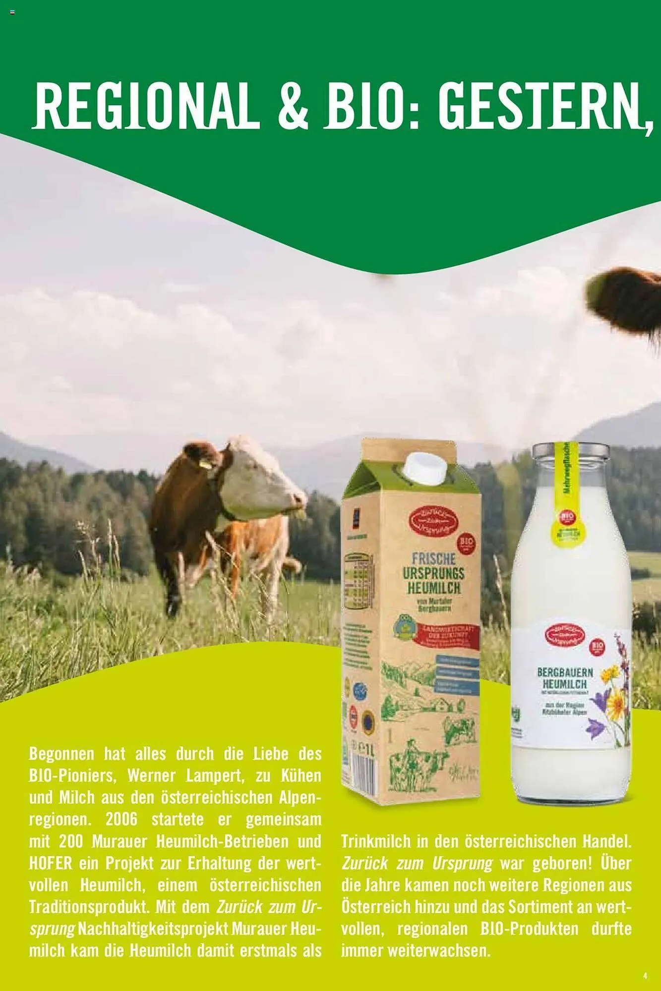 Hofer Flugblatt von 8. Oktober bis 4. März 2026 - Flugblätt seite  4