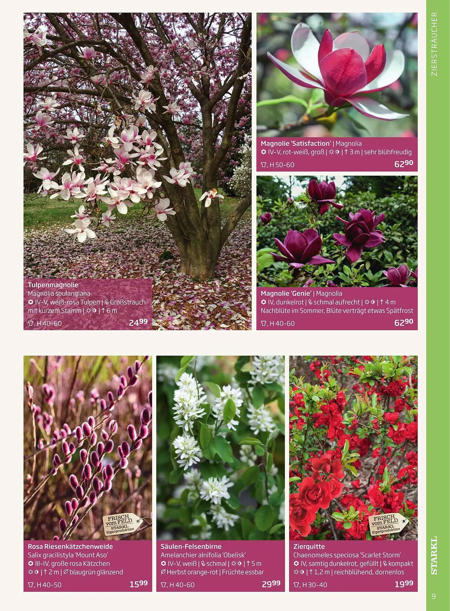 Starkl Flugblatt von 1. April bis 31. Dezember 2024 - Flugblätt seite 9