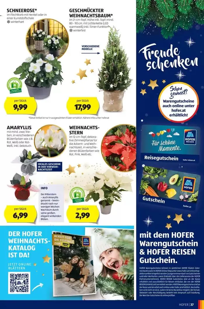 Blättern Sie online im HOFER Flugblatt von 27. November bis 11. Dezember 2024 - Flugblätt seite 41