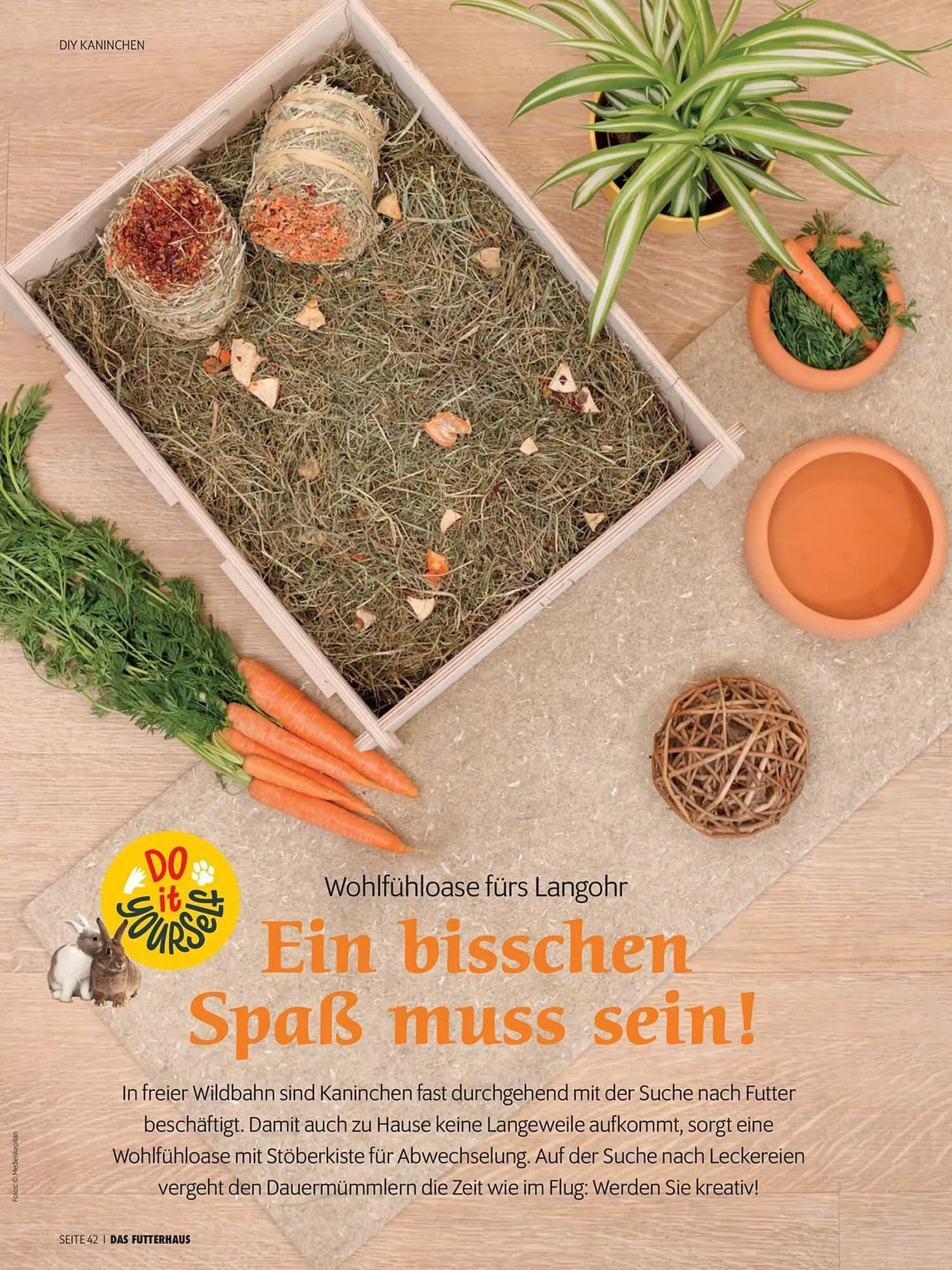 Das Futterhaus Flugblatt von 1. April bis 20. Mai 2024 - Flugblätt seite  42