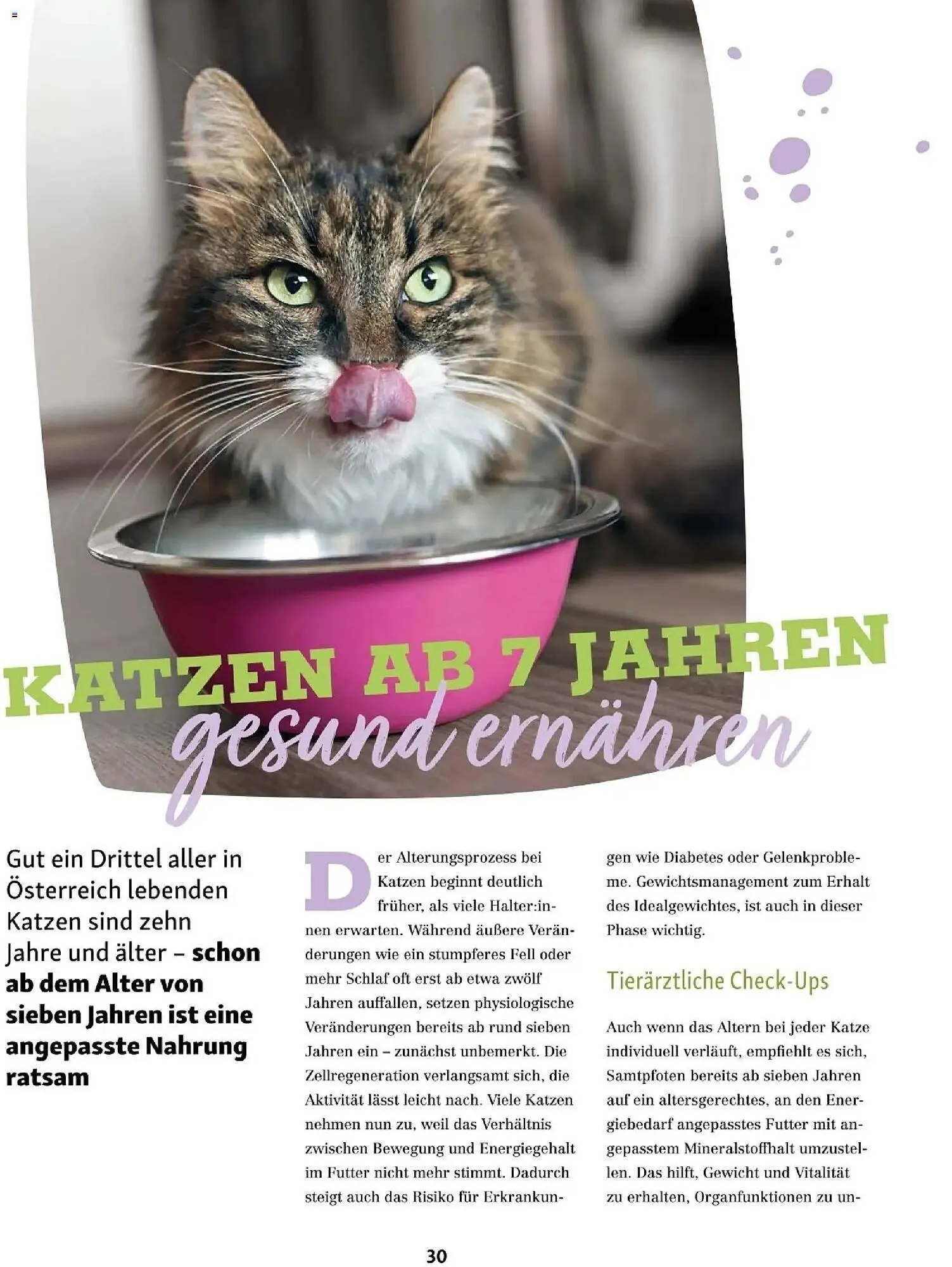 Fressnapf Flugblatt von 1. März bis 30. April 2026 - Flugblätt seite 30