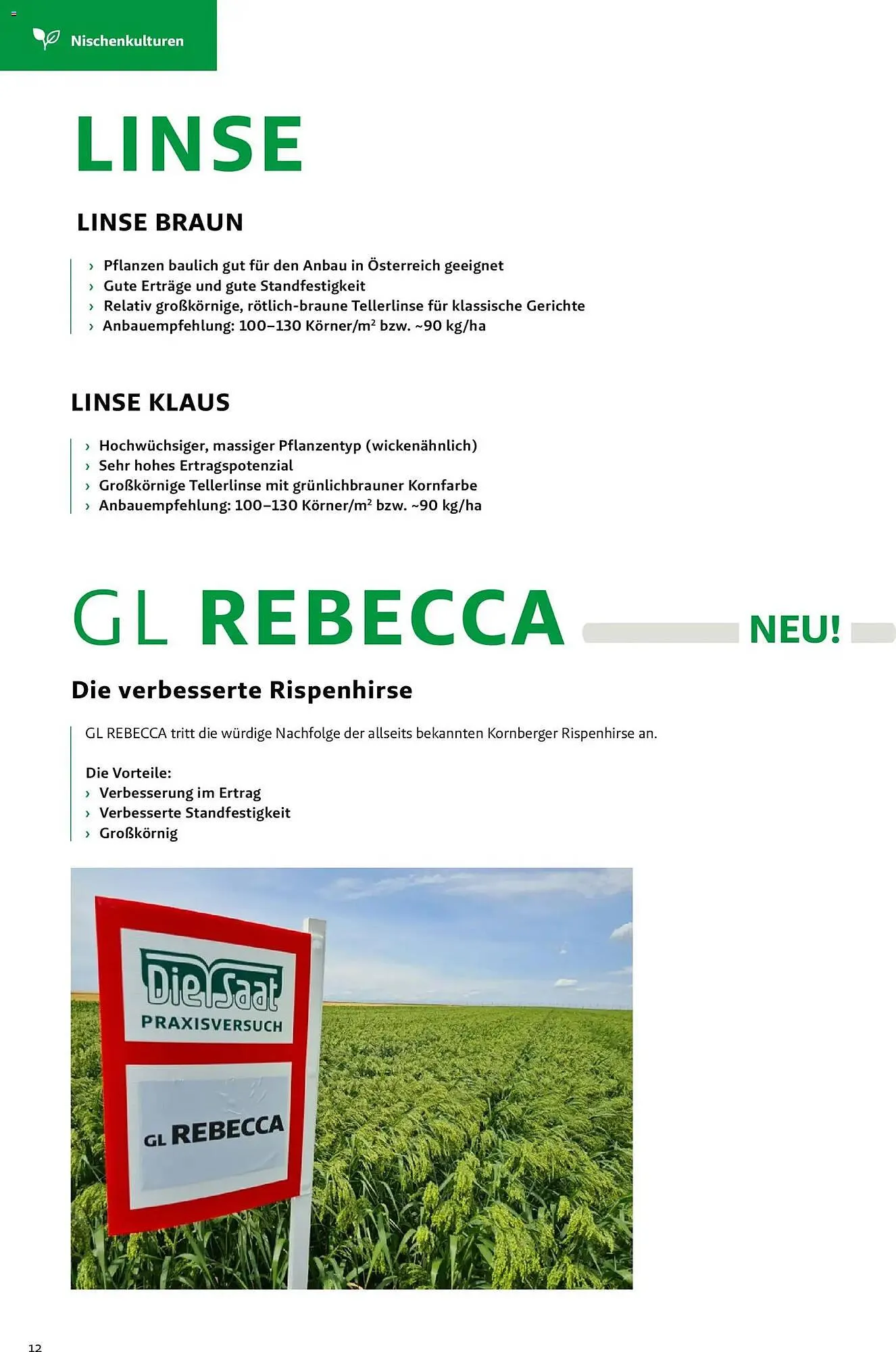 Lagerhaus Flugblatt von 1. März bis 31. Mai 2026 - Flugblätt seite 12