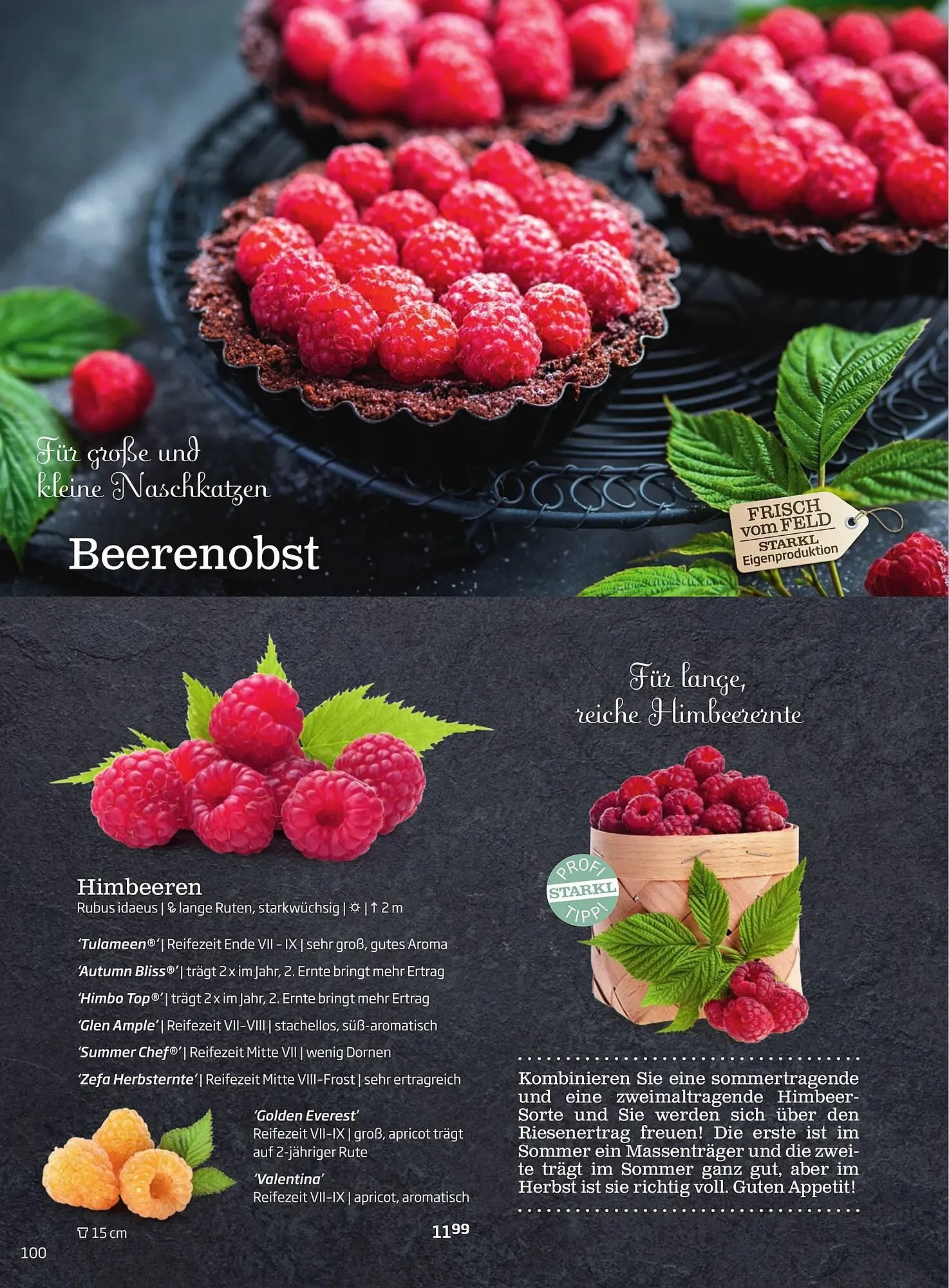 Starkl Flugblatt von 6. Juni bis 31. Dezember 2025 - Flugblätt seite  100