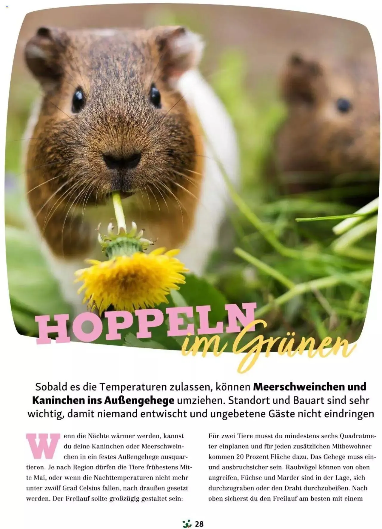 Fressnapf Friends 03/24 von 1. April bis 31. Dezember 2024 - Flugblätt seite  28