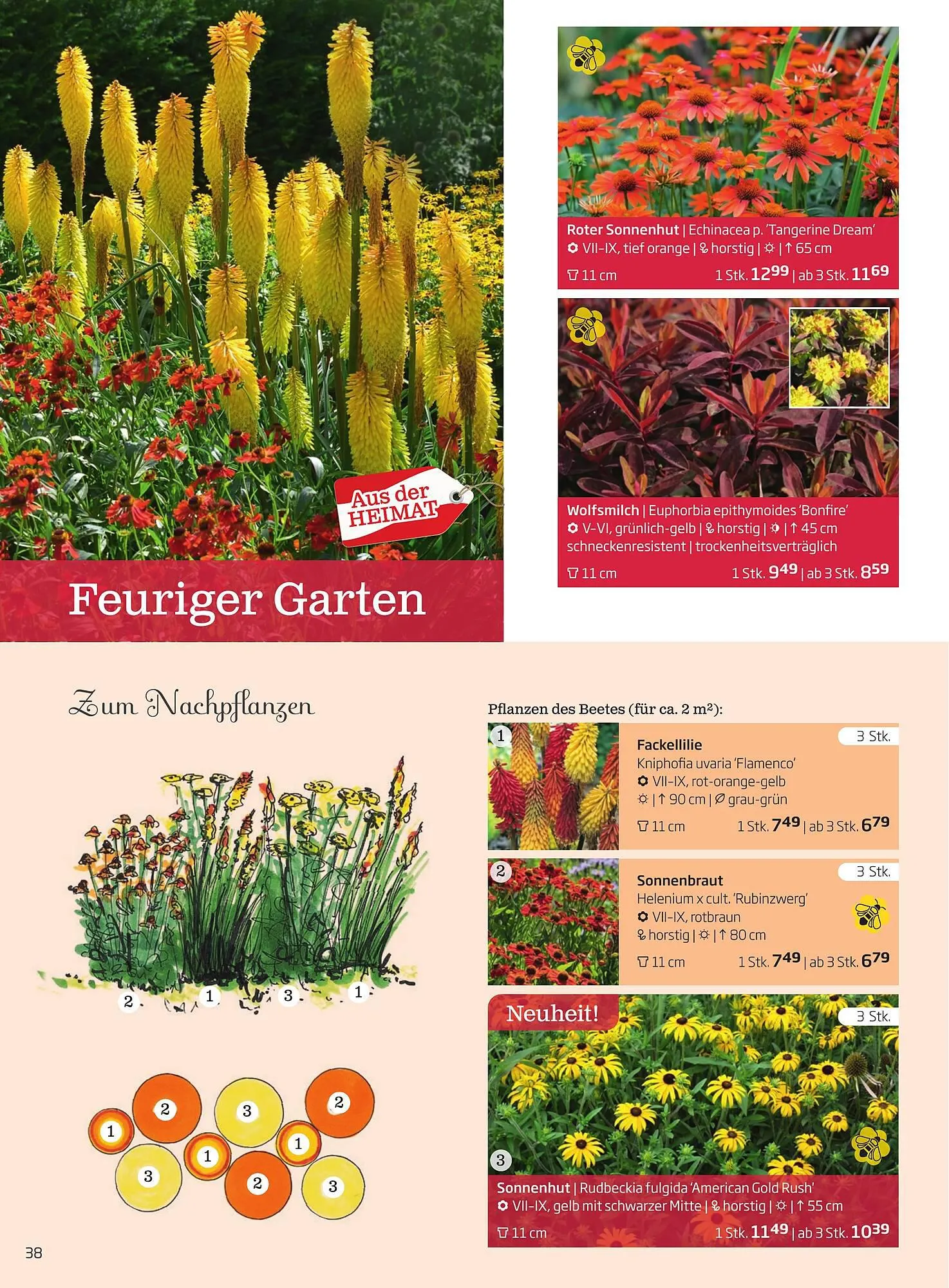 Starkl Flugblatt von 1. April bis 31. Dezember 2024 - Flugblätt seite  38