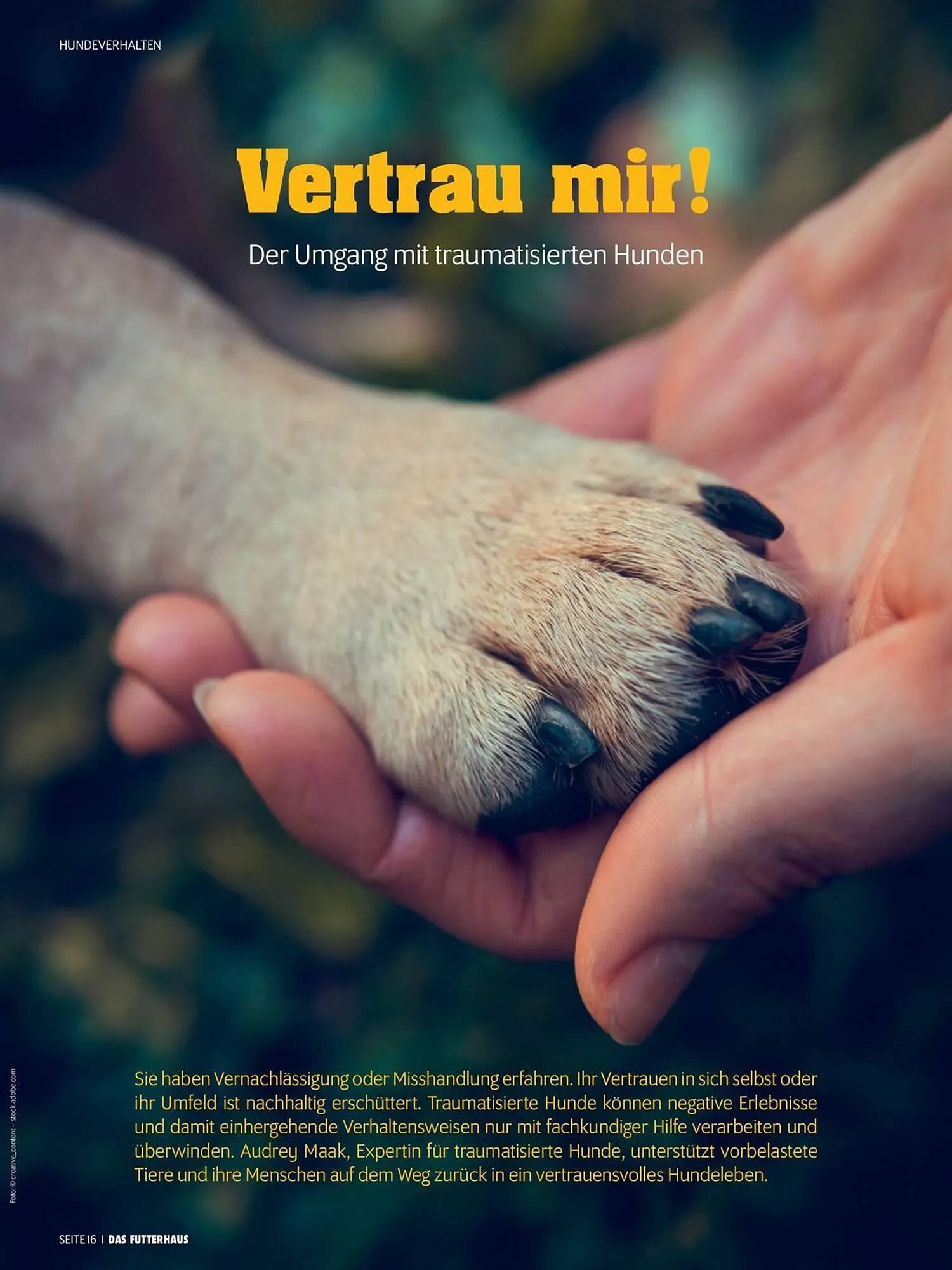 Das Futterhaus Flugblatt von 1. April bis 20. Mai 2024 - Flugblätt seite 16