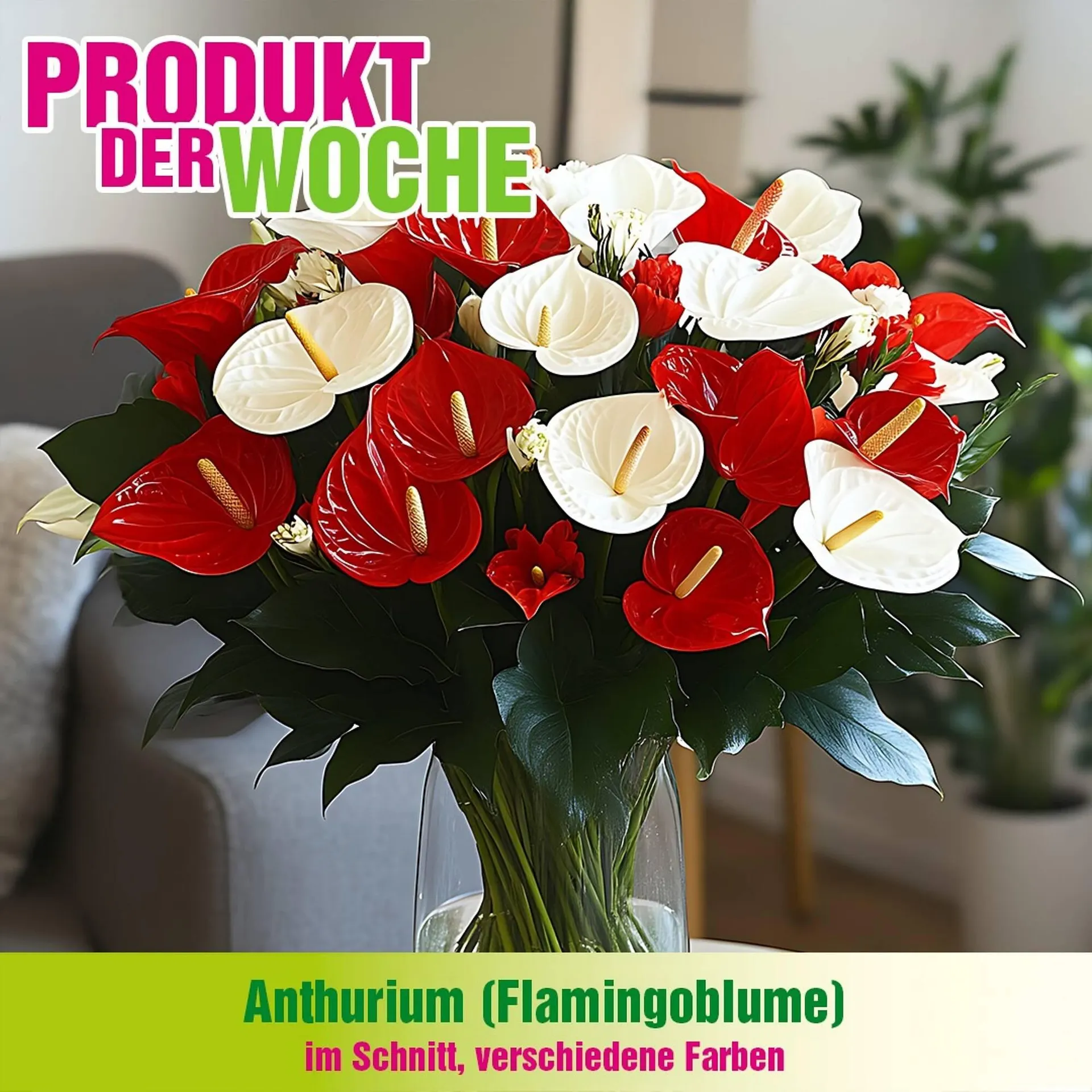 Blumen B&B Flugblatt von 13. Oktober bis 26. Oktober 2025 - Flugblätt seite  4